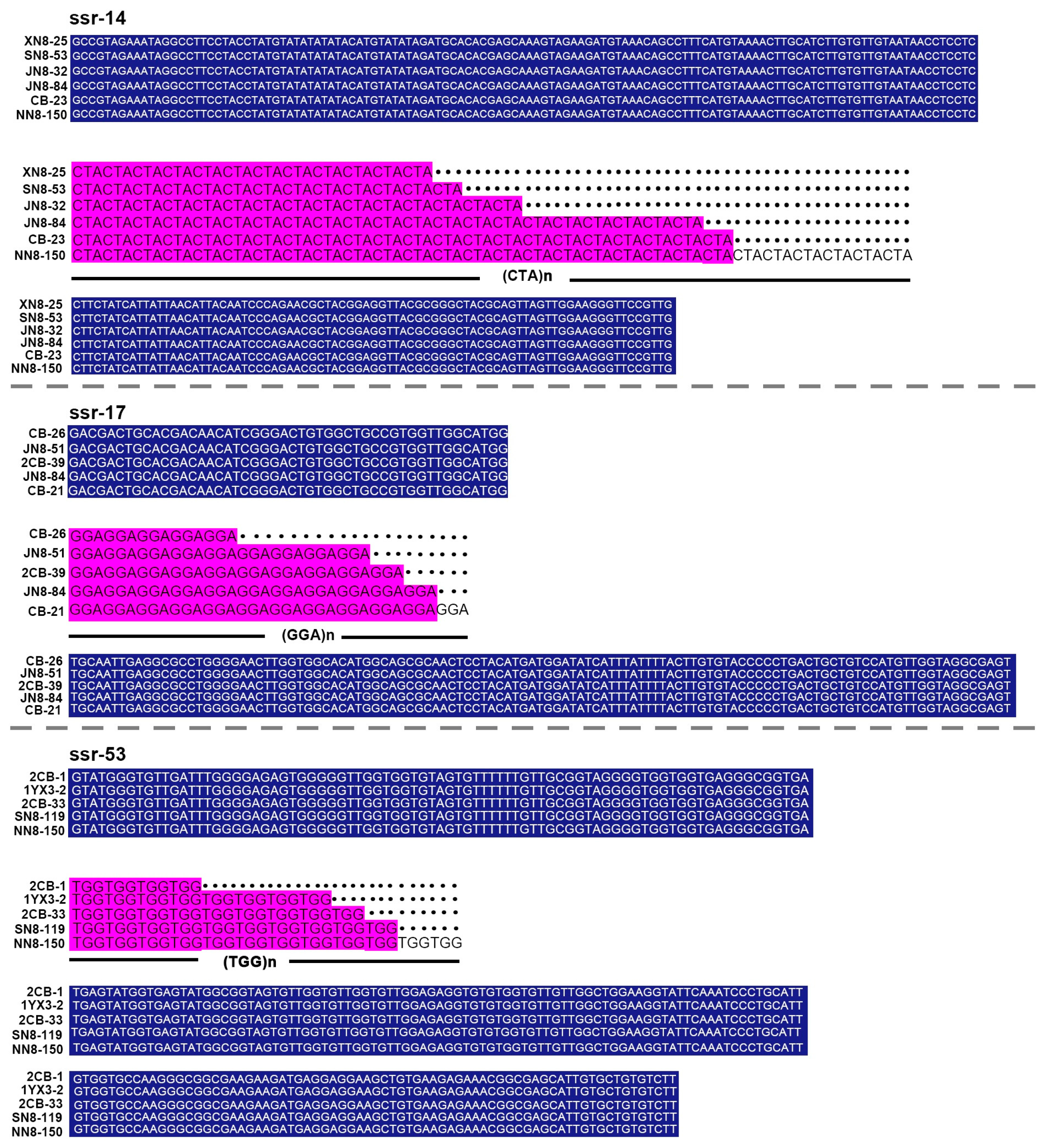 Genetic Diversity and Population Structure of Leptosphaeria