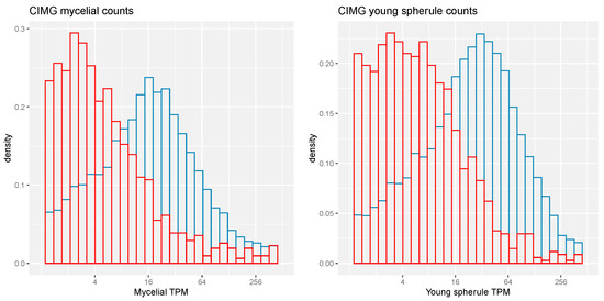 Evaluation of Different Gene Prediction Tools in Coccidioides immitis