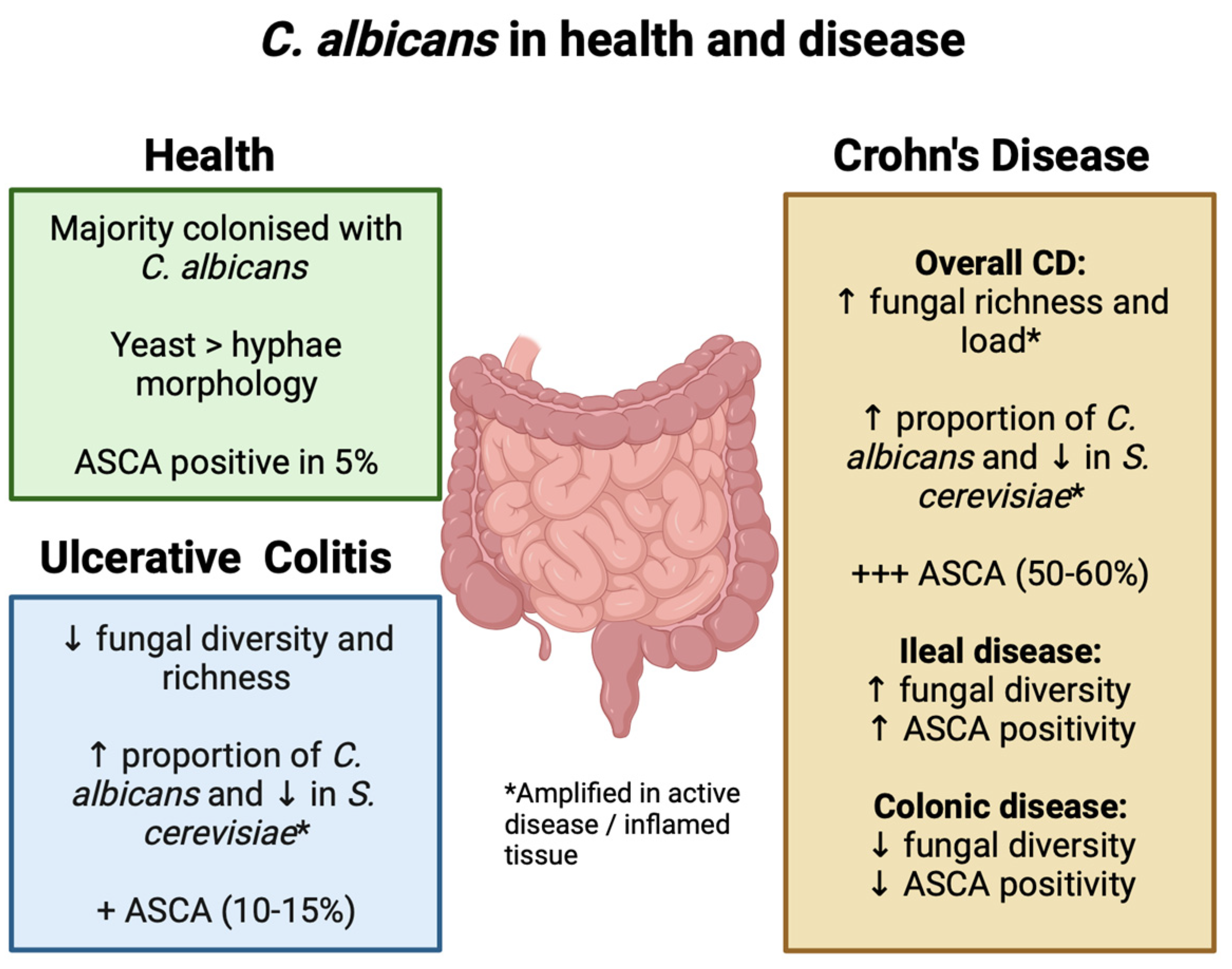 Jof 09 01105 g001 Jof 09 01105 g001