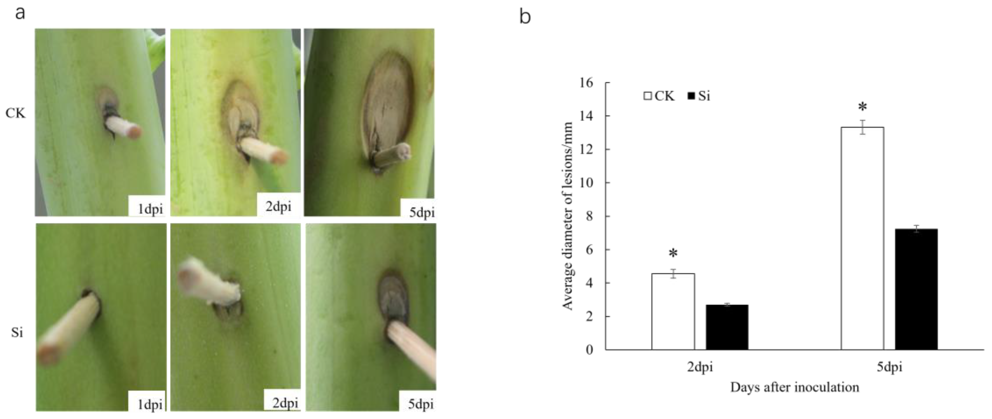 Jof 09 01108 g002 Jof 09 01108 g002