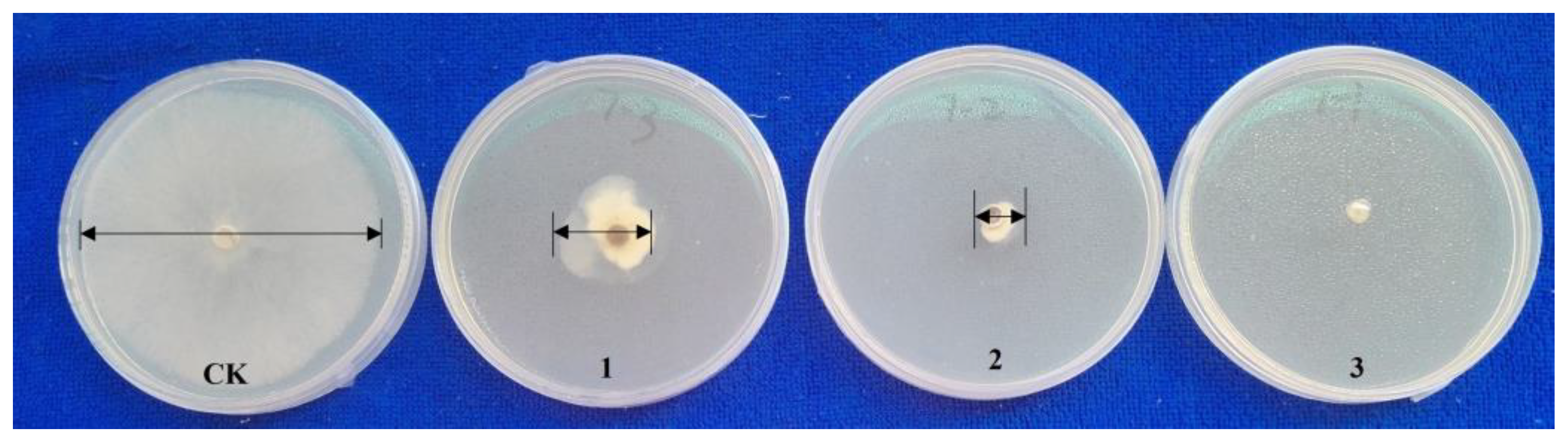 Jof 09 01108 g003 Jof 09 01108 g003