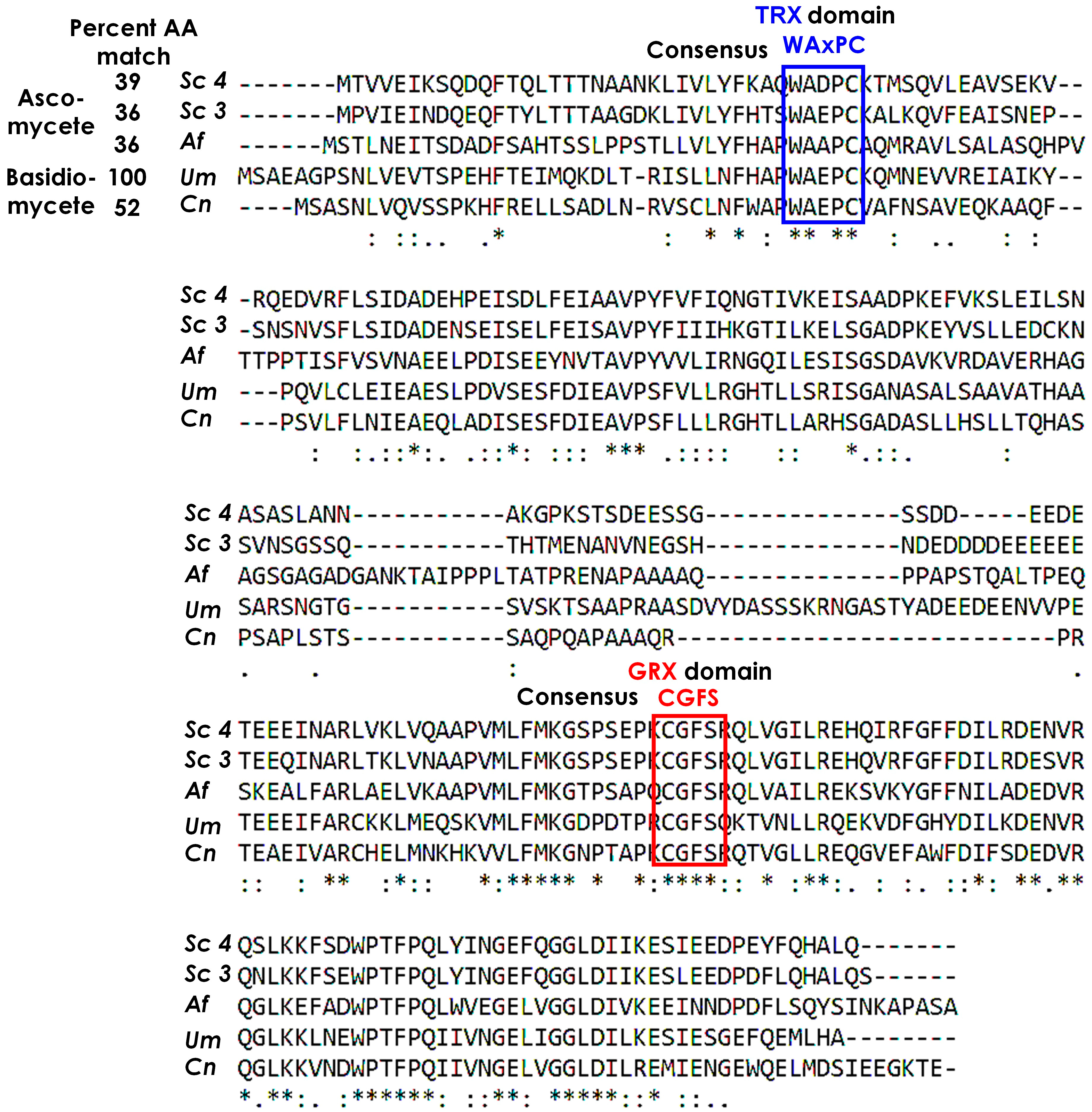 Jof 09 01112 g001 Jof 09 01112 g001