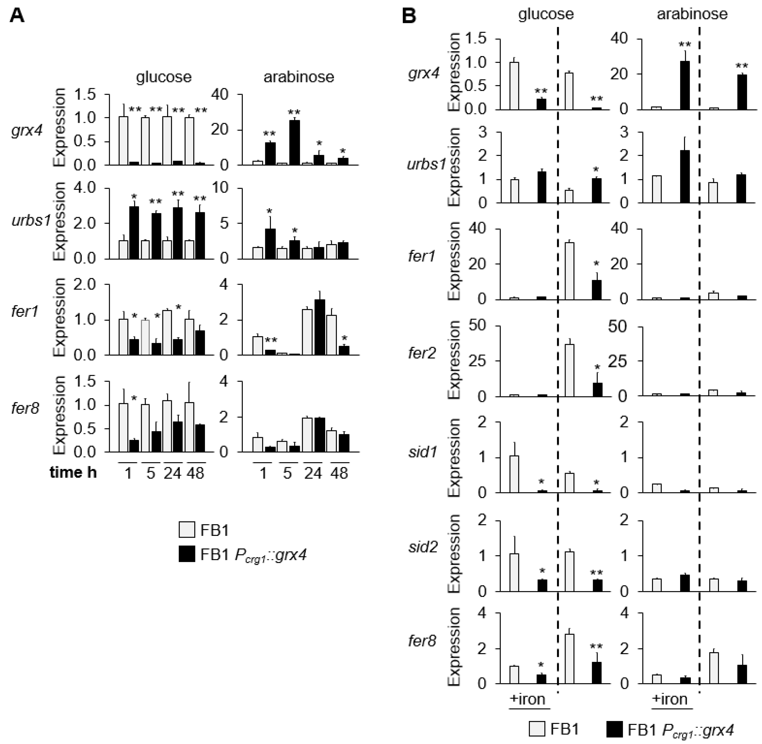 Jof 09 01112 g004 Jof 09 01112 g004