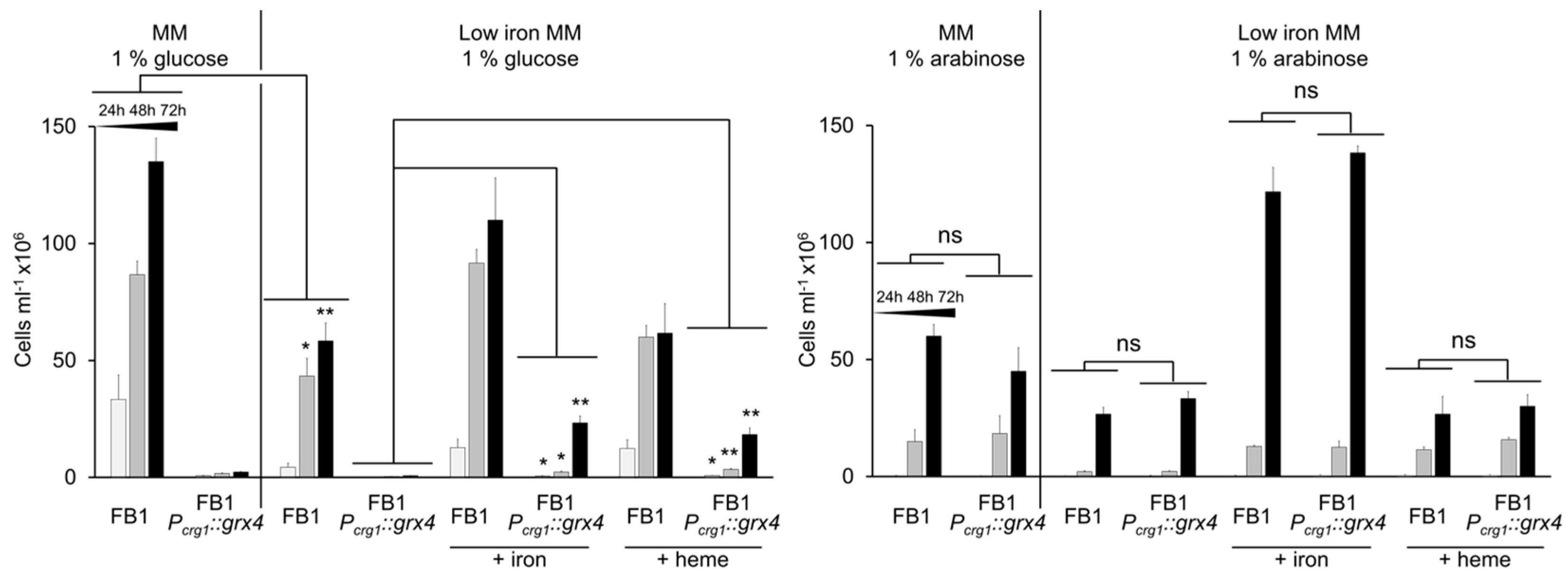 Jof 09 01112 g005 Jof 09 01112 g005