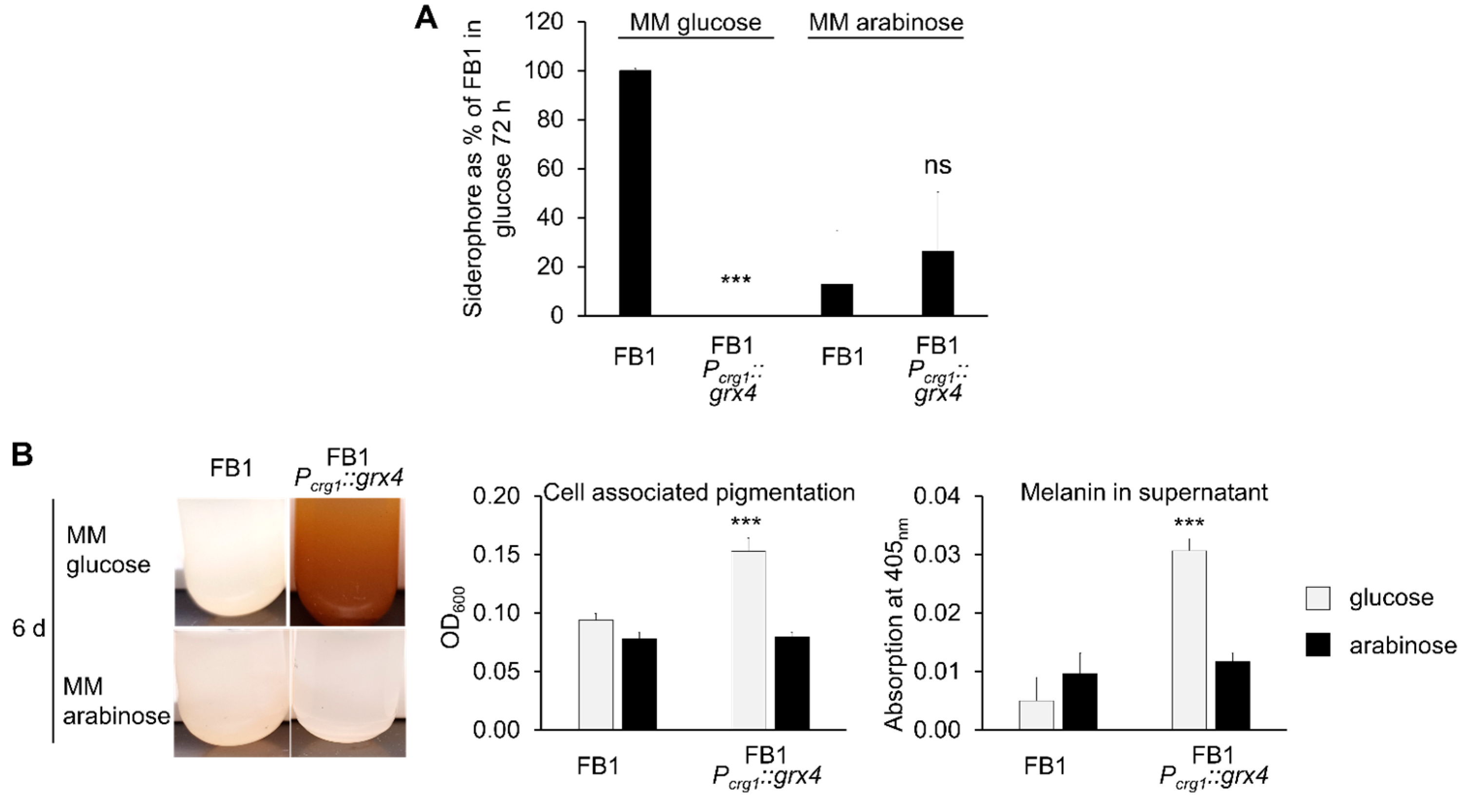Jof 09 01112 g006 Jof 09 01112 g006