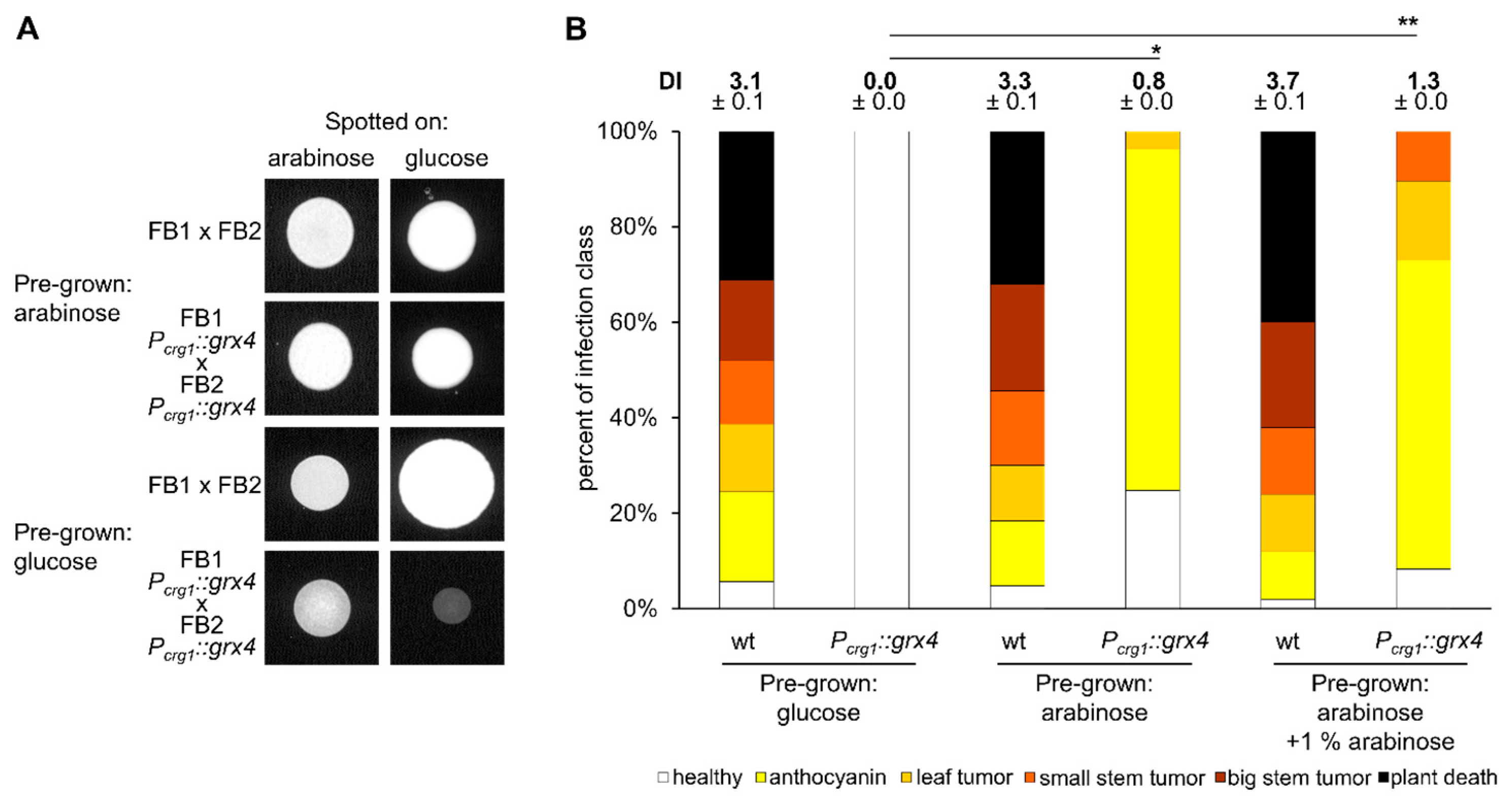 Jof 09 01112 g007 Jof 09 01112 g007