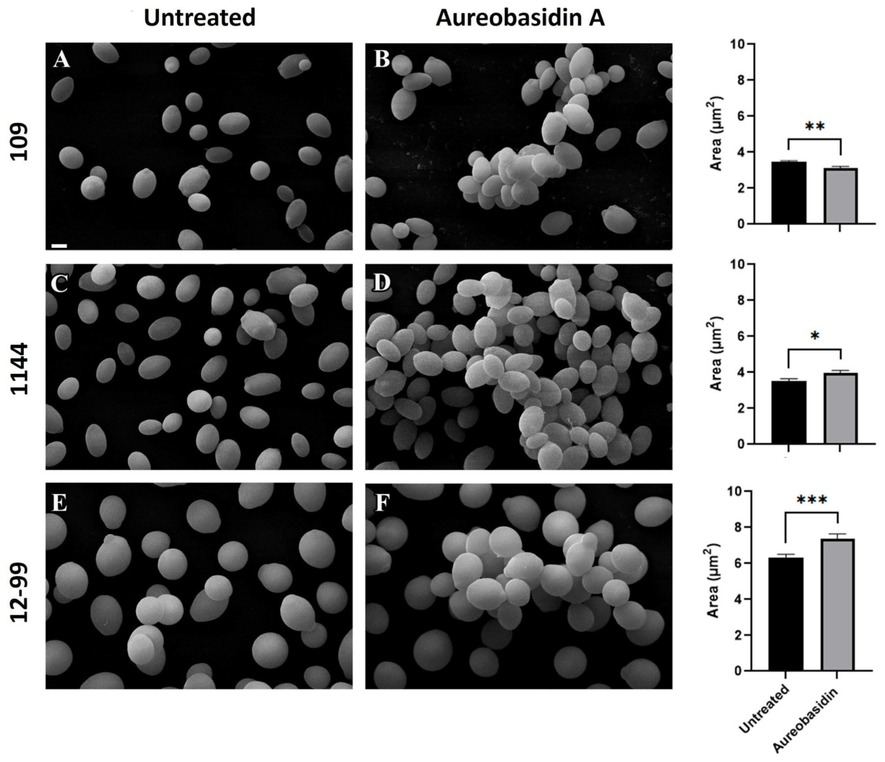 Jof 09 01115 g003 Jof 09 01115 g003