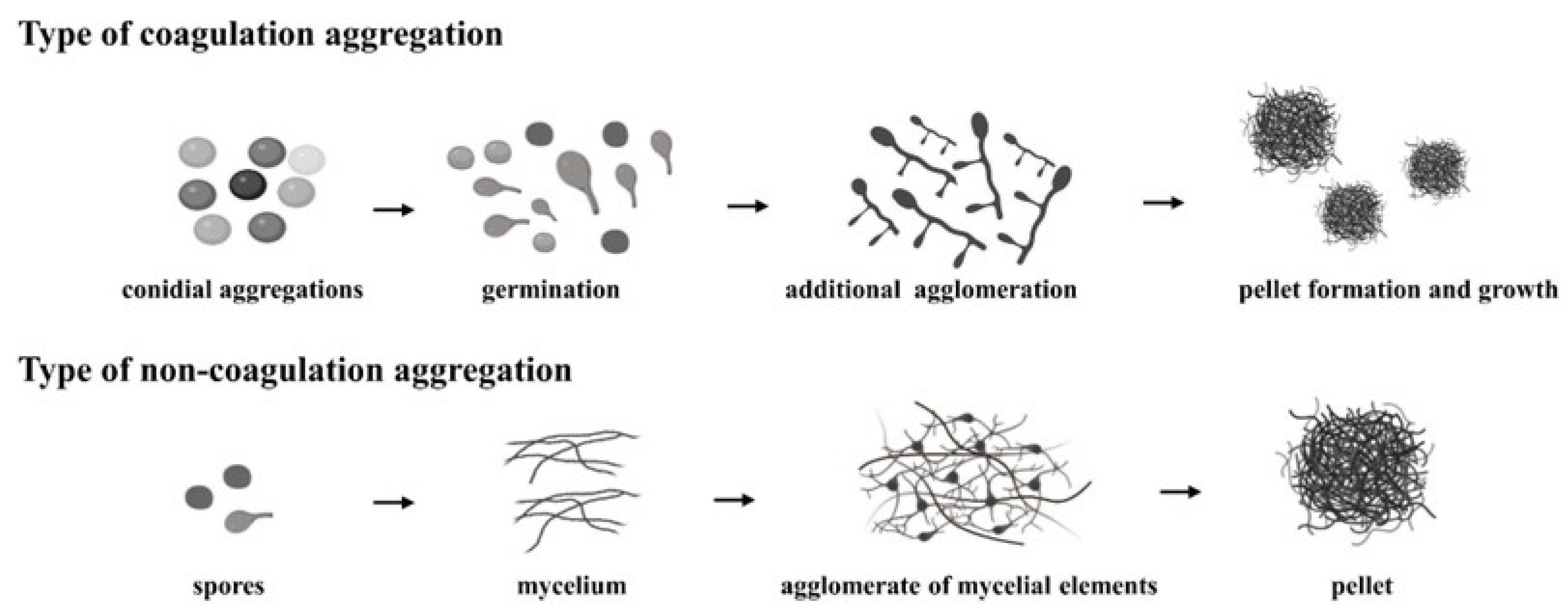 Jof 09 01120 g001 Jof 09 01120 g001