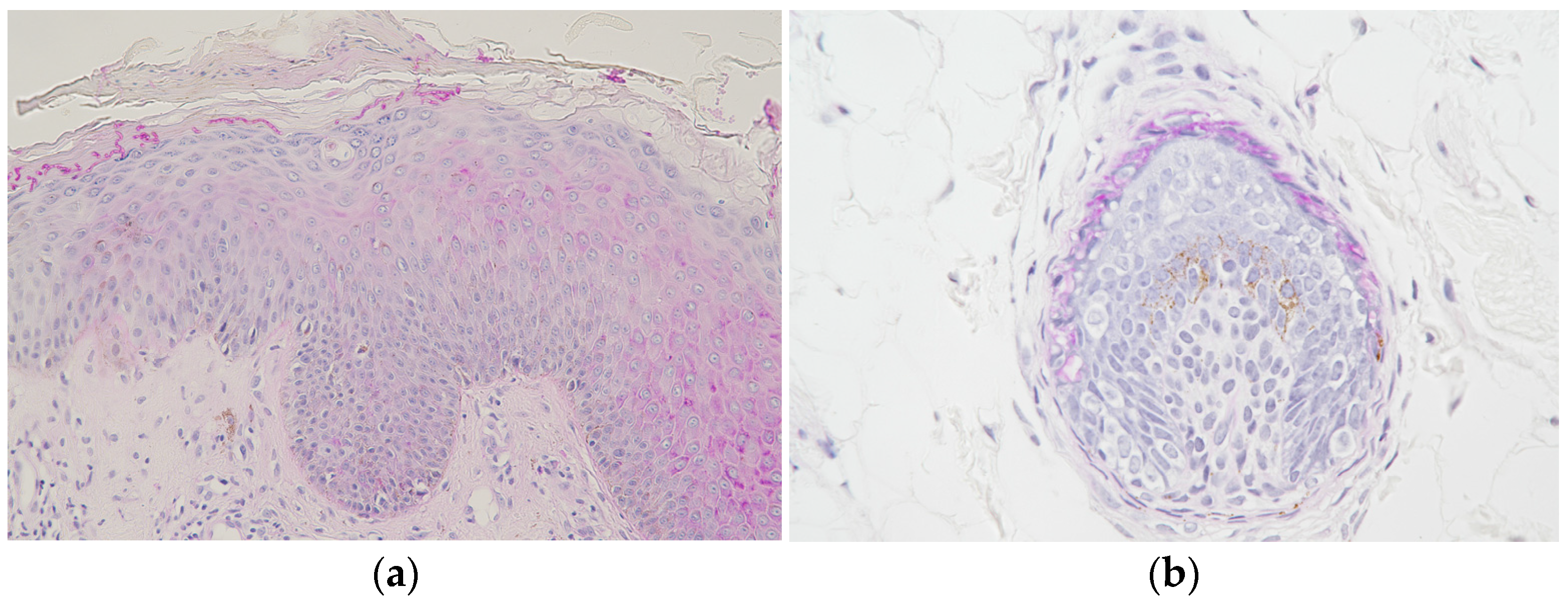 Jof 09 01122 g002 Jof 09 01122 g002