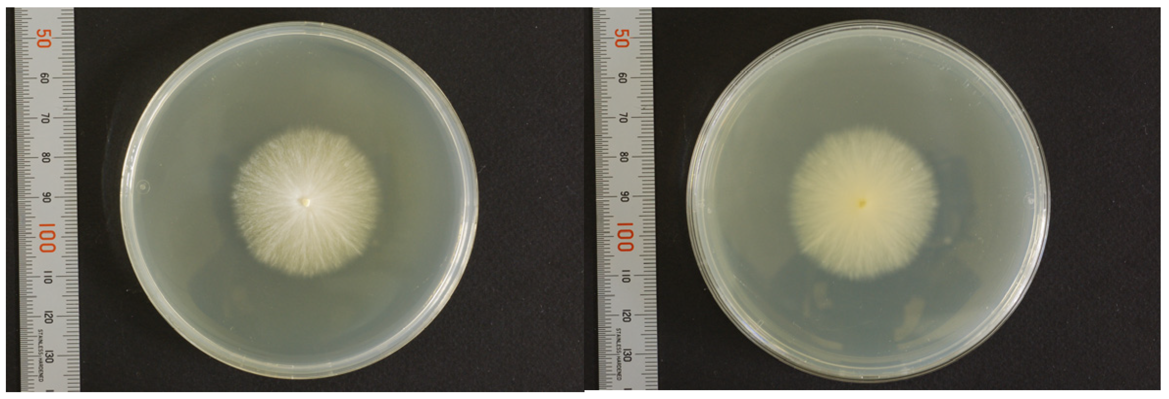 Jof 09 01122 g004 Jof 09 01122 g004