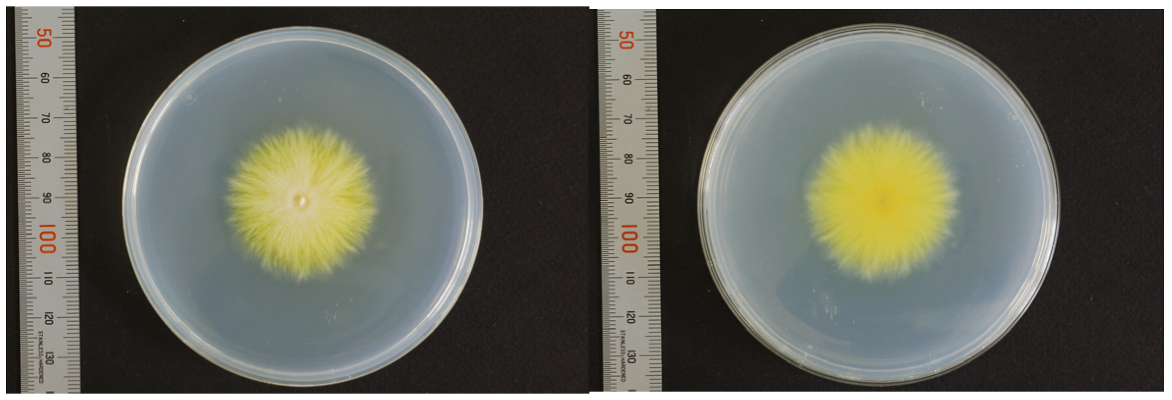 Jof 09 01122 g005 Jof 09 01122 g005