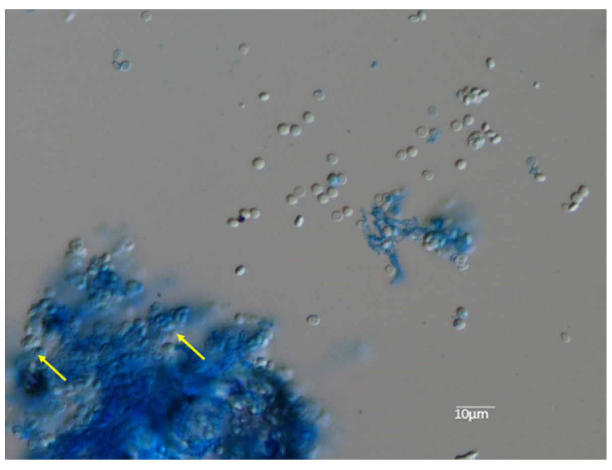 Jof 09 01122 g008 Jof 09 01122 g008