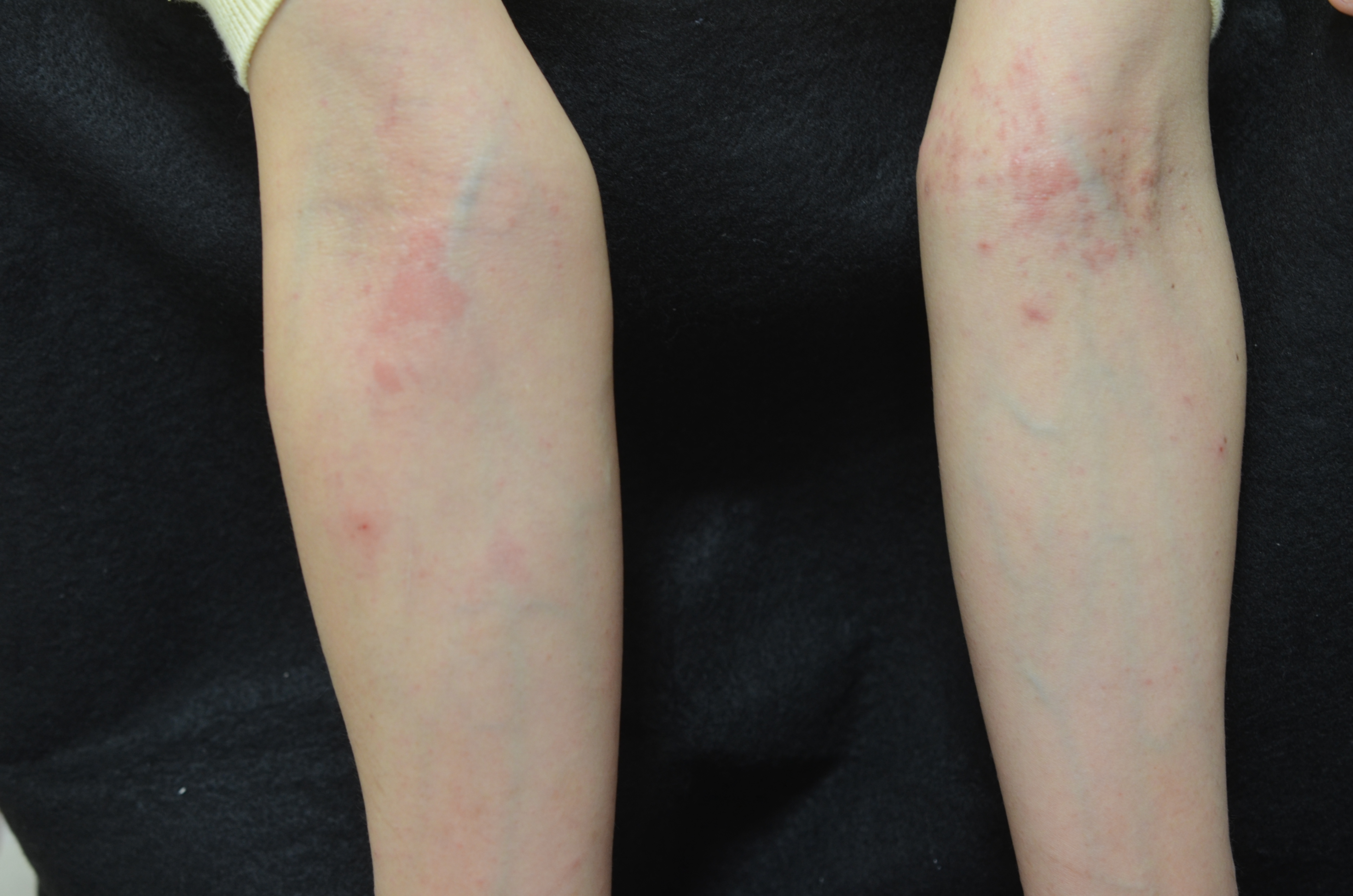 Jof 09 01122 g010 Jof 09 01122 g010