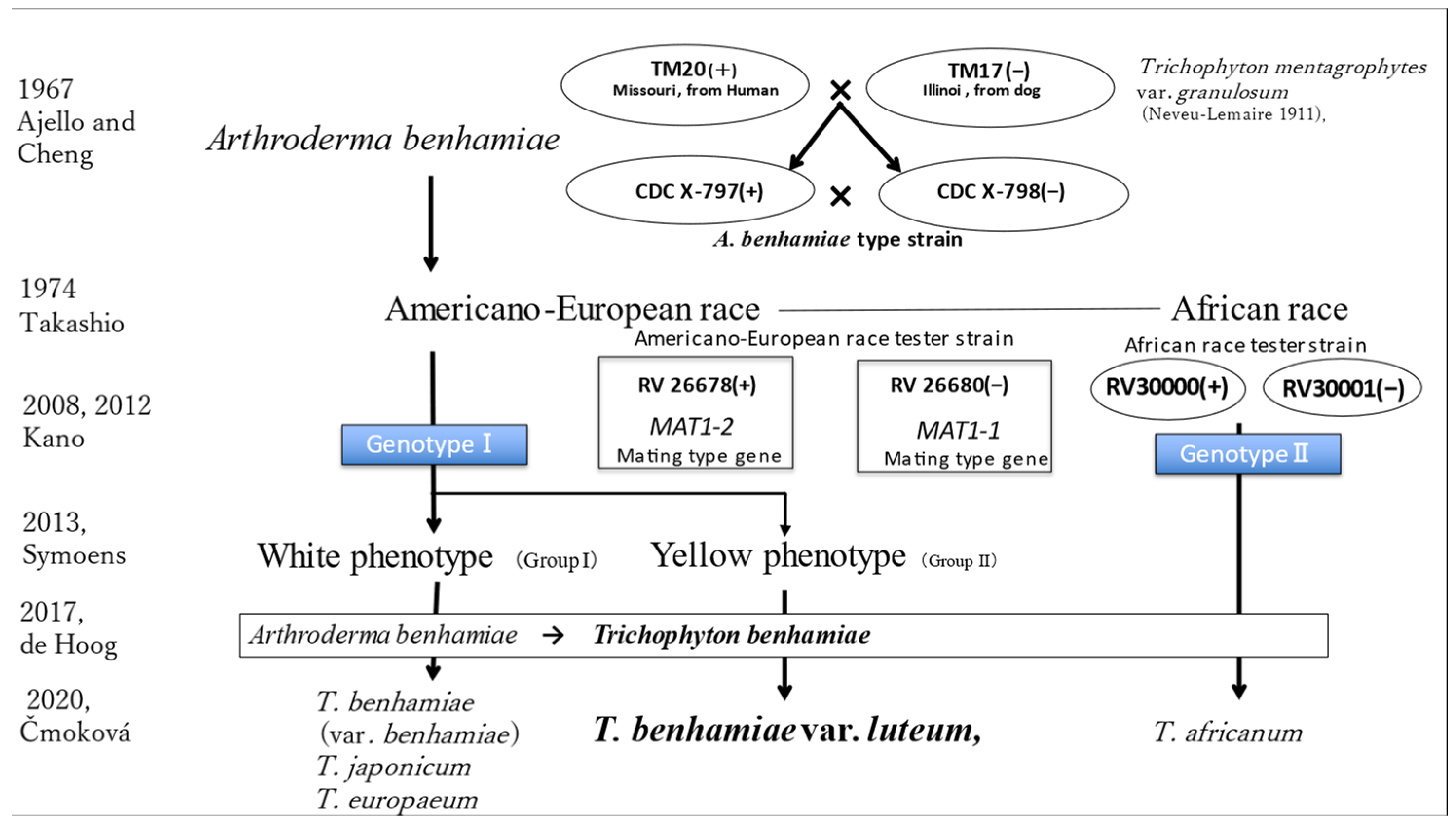 Jof 09 01122 g012 Jof 09 01122 g012