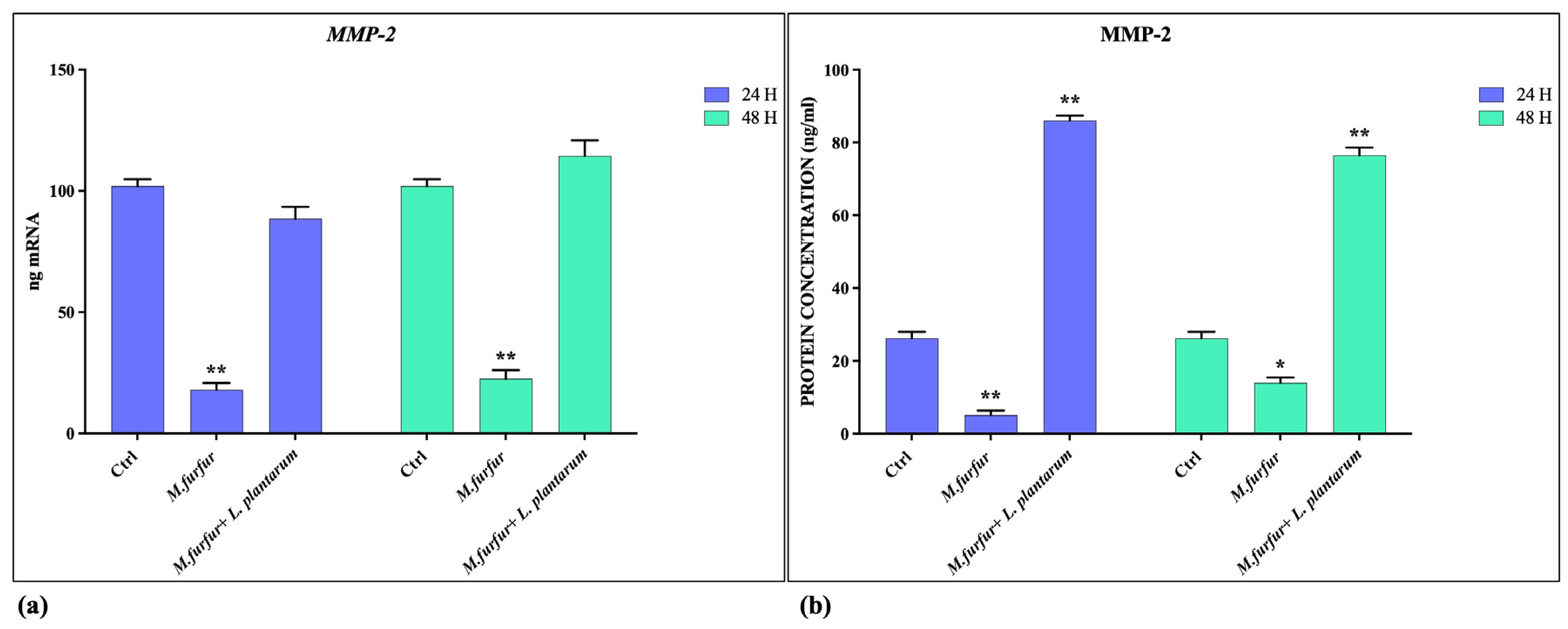 Jof 09 01153 g004 Jof 09 01153 g004