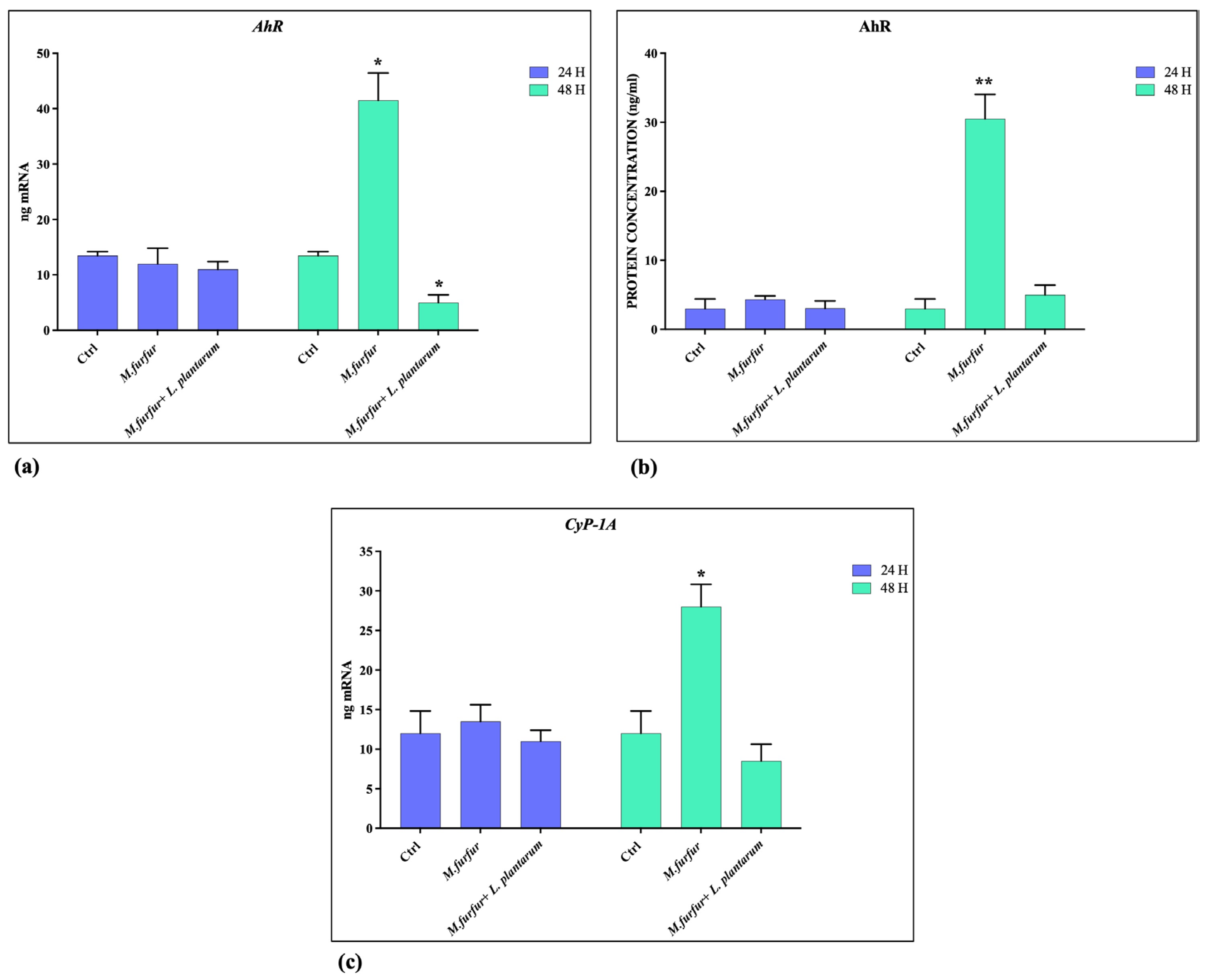 Jof 09 01153 g005 Jof 09 01153 g005