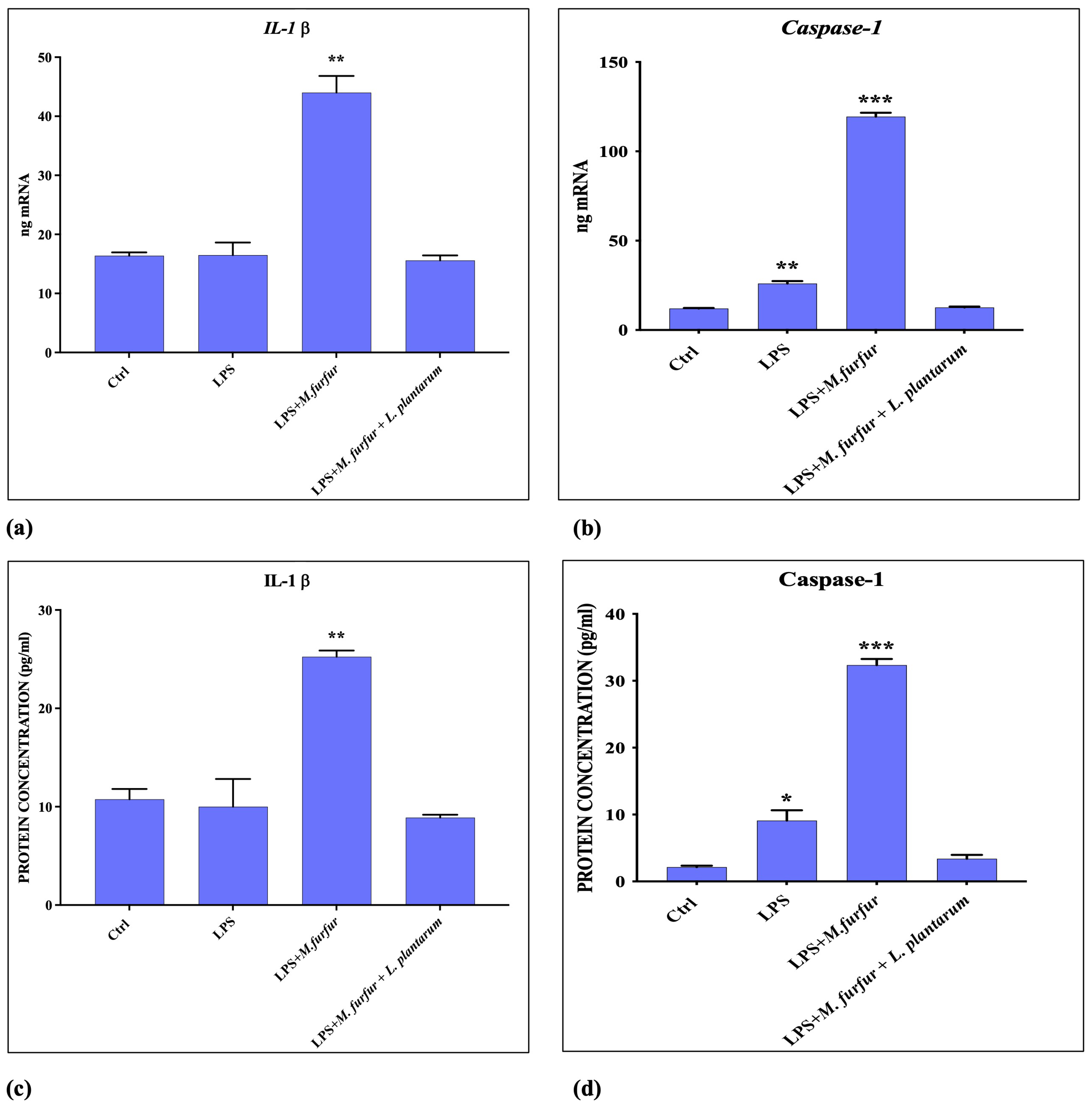 Jof 09 01153 g007 Jof 09 01153 g007