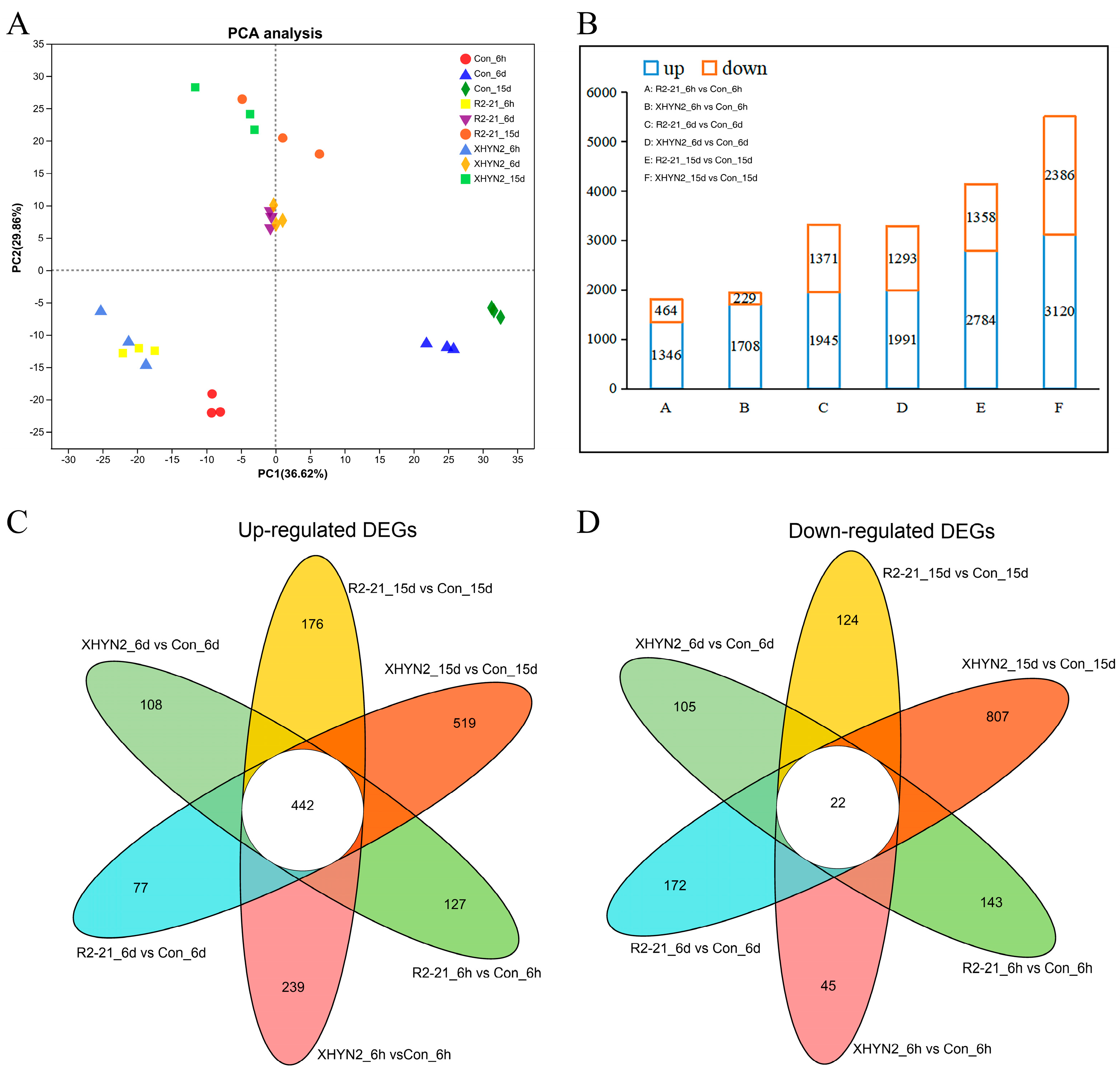 The Interactions between Two Fungal Endophytes Epicoccum