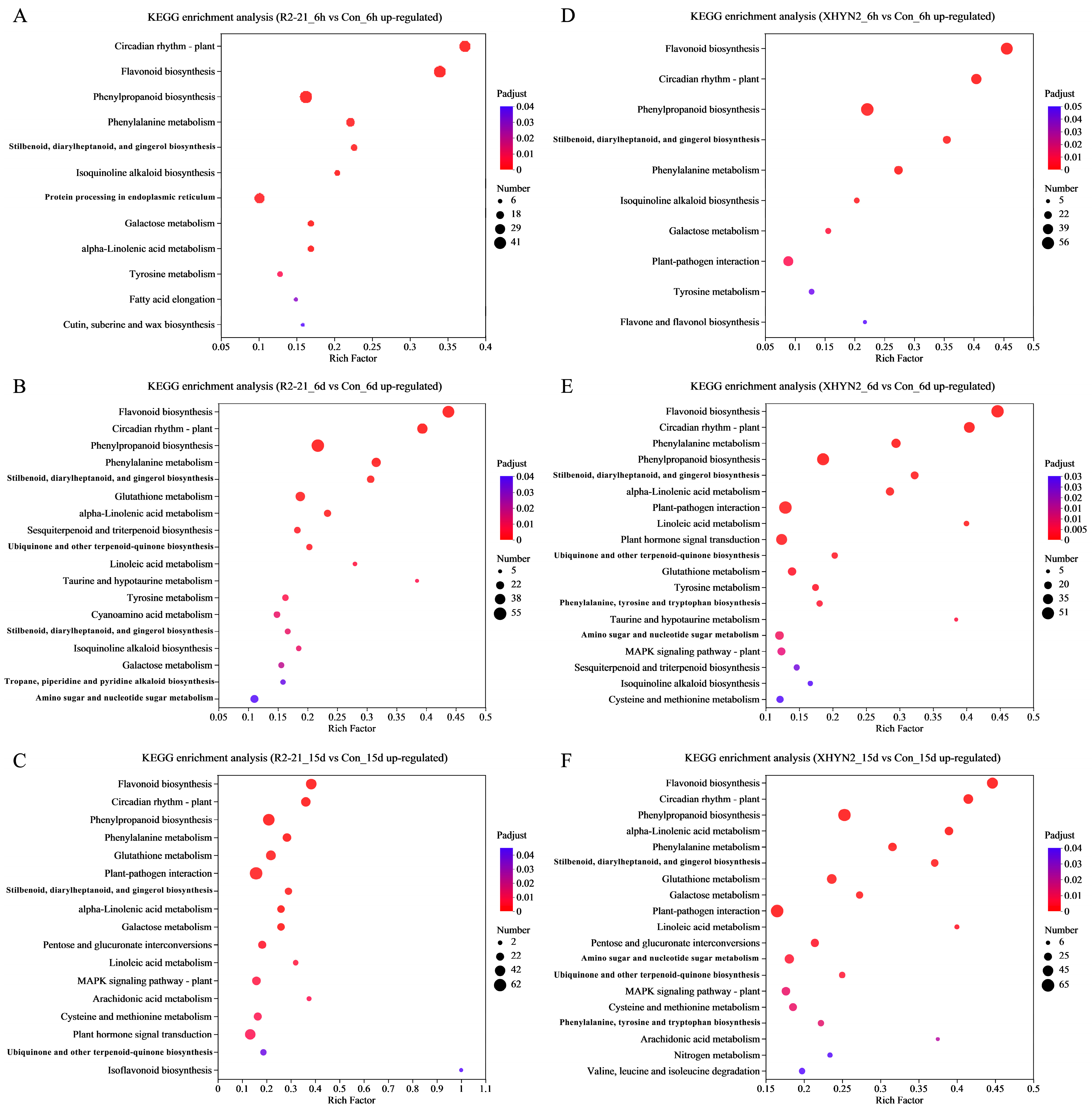 Jof 09 01154 g002 Jof 09 01154 g002