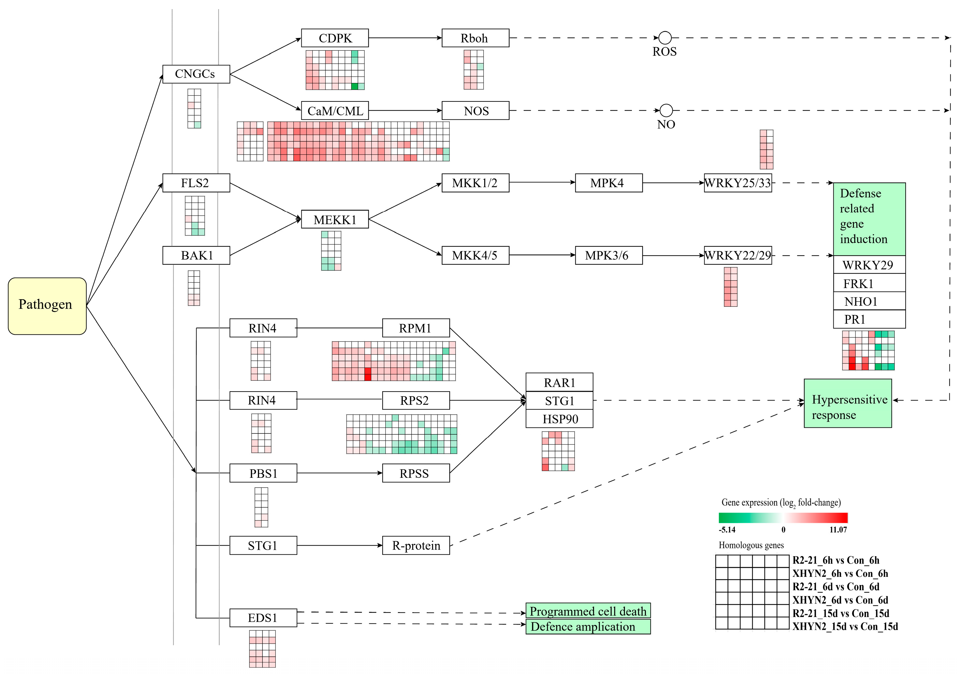 Jof 09 01154 g005 Jof 09 01154 g005