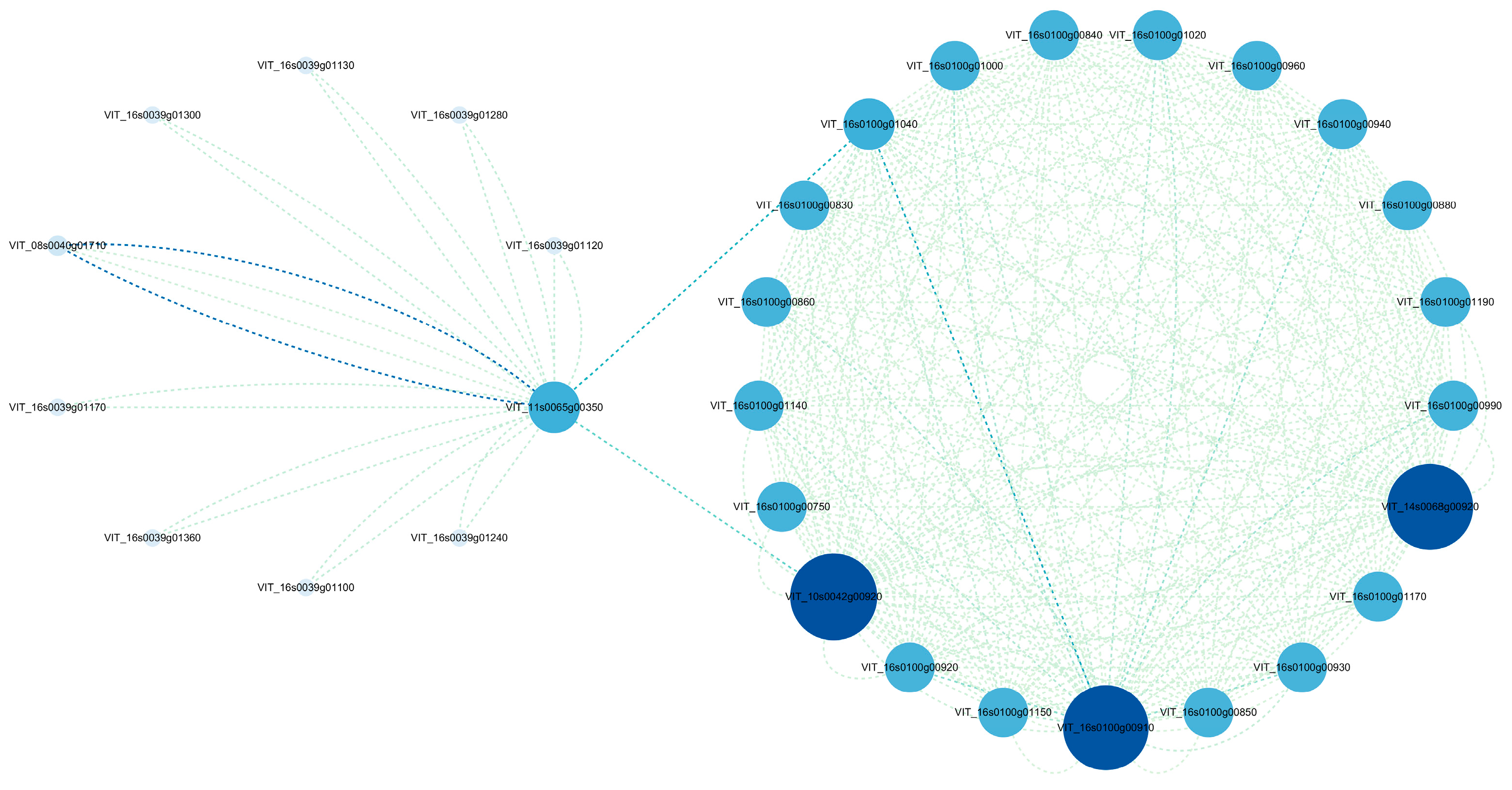 Jof 09 01154 g007 Jof 09 01154 g007