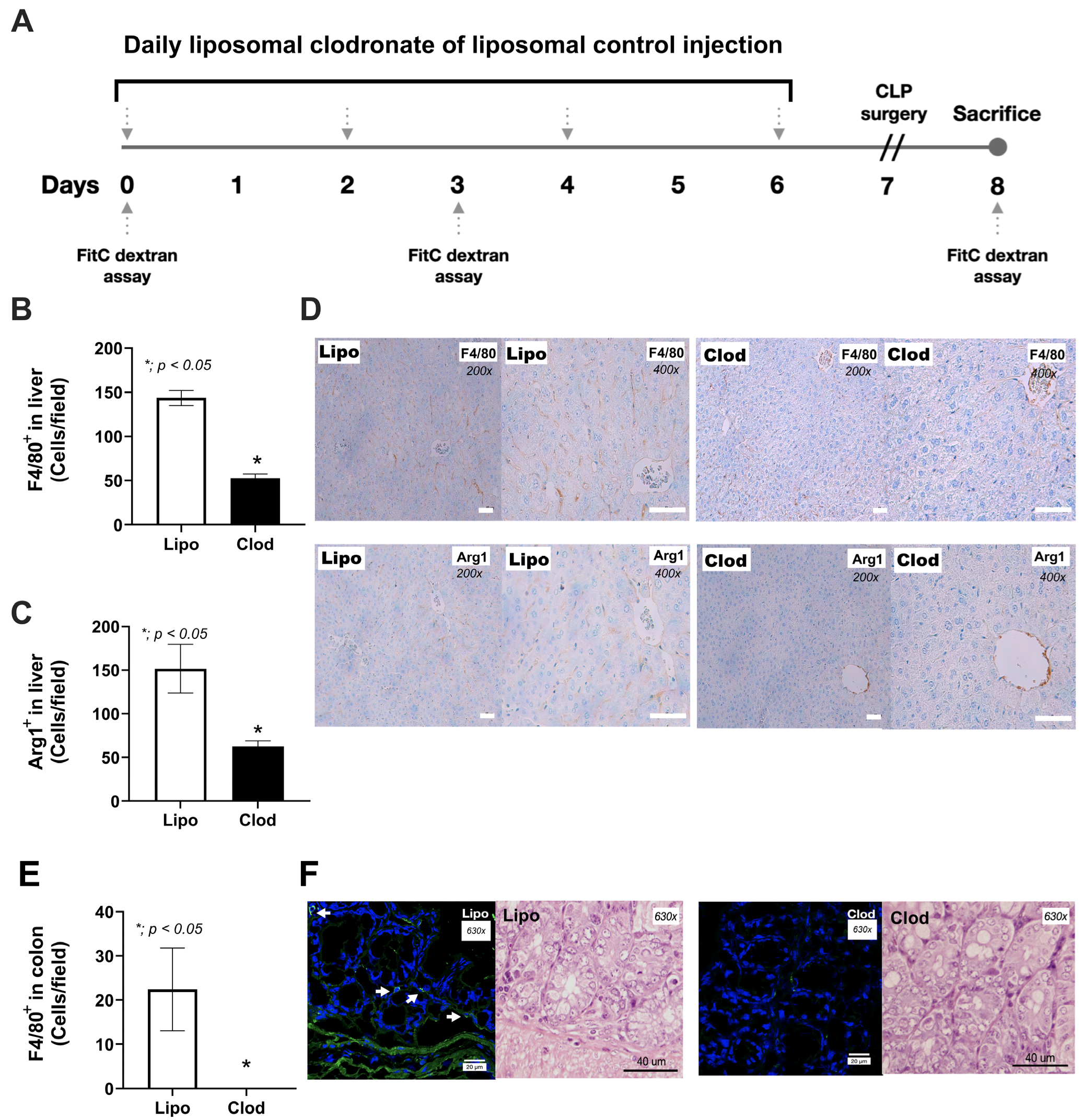 Jof 09 01164 g001 Jof 09 01164 g001