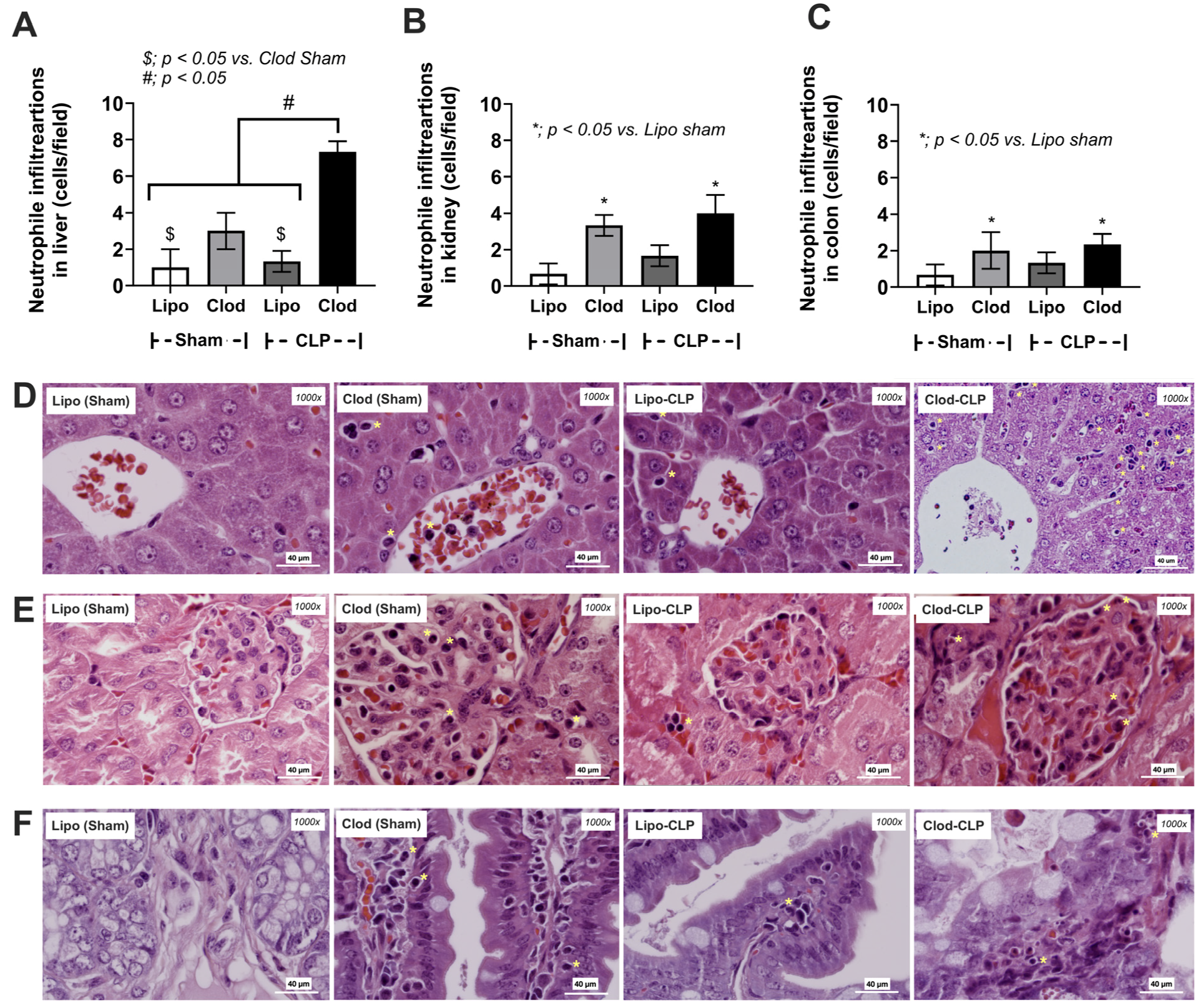 Jof 09 01164 g004 Jof 09 01164 g004