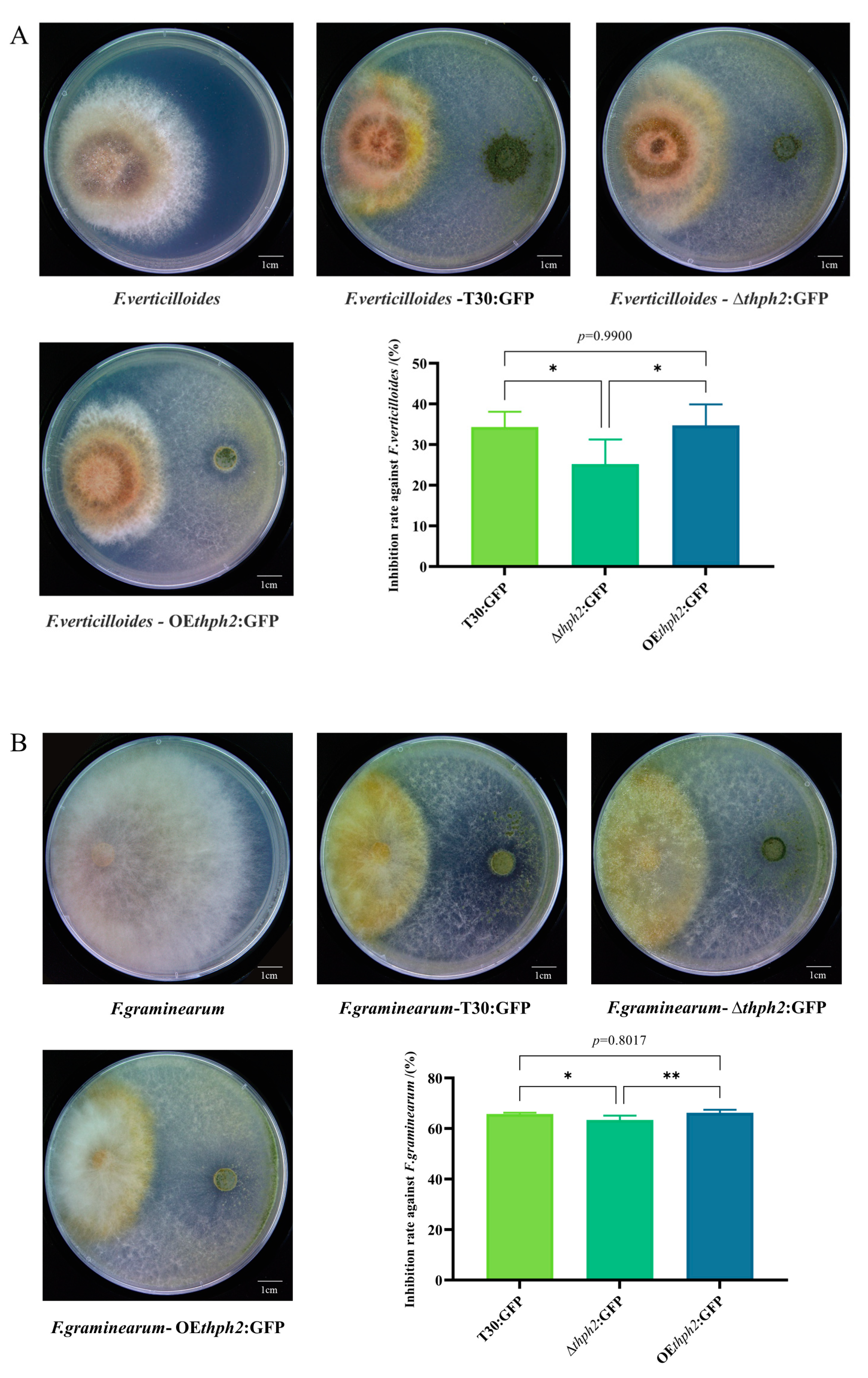 Jof 09 01168 g004a Jof 09 01168 g004a