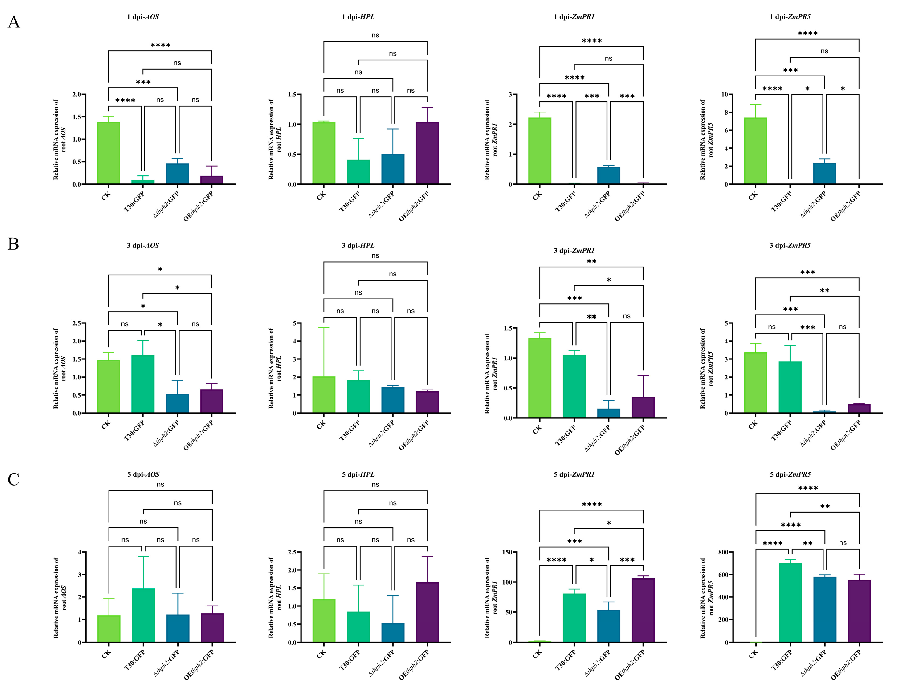Jof 09 01168 g006 Jof 09 01168 g006