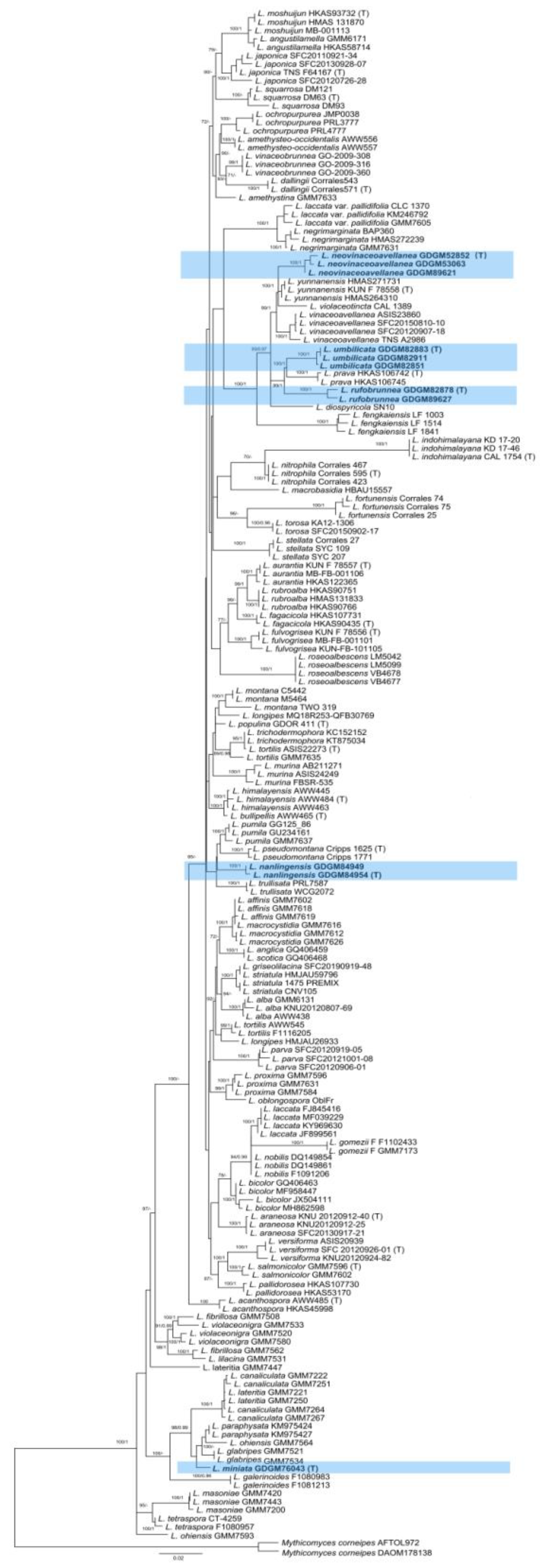 Jof 09 01179 g001 Jof 09 01179 g001