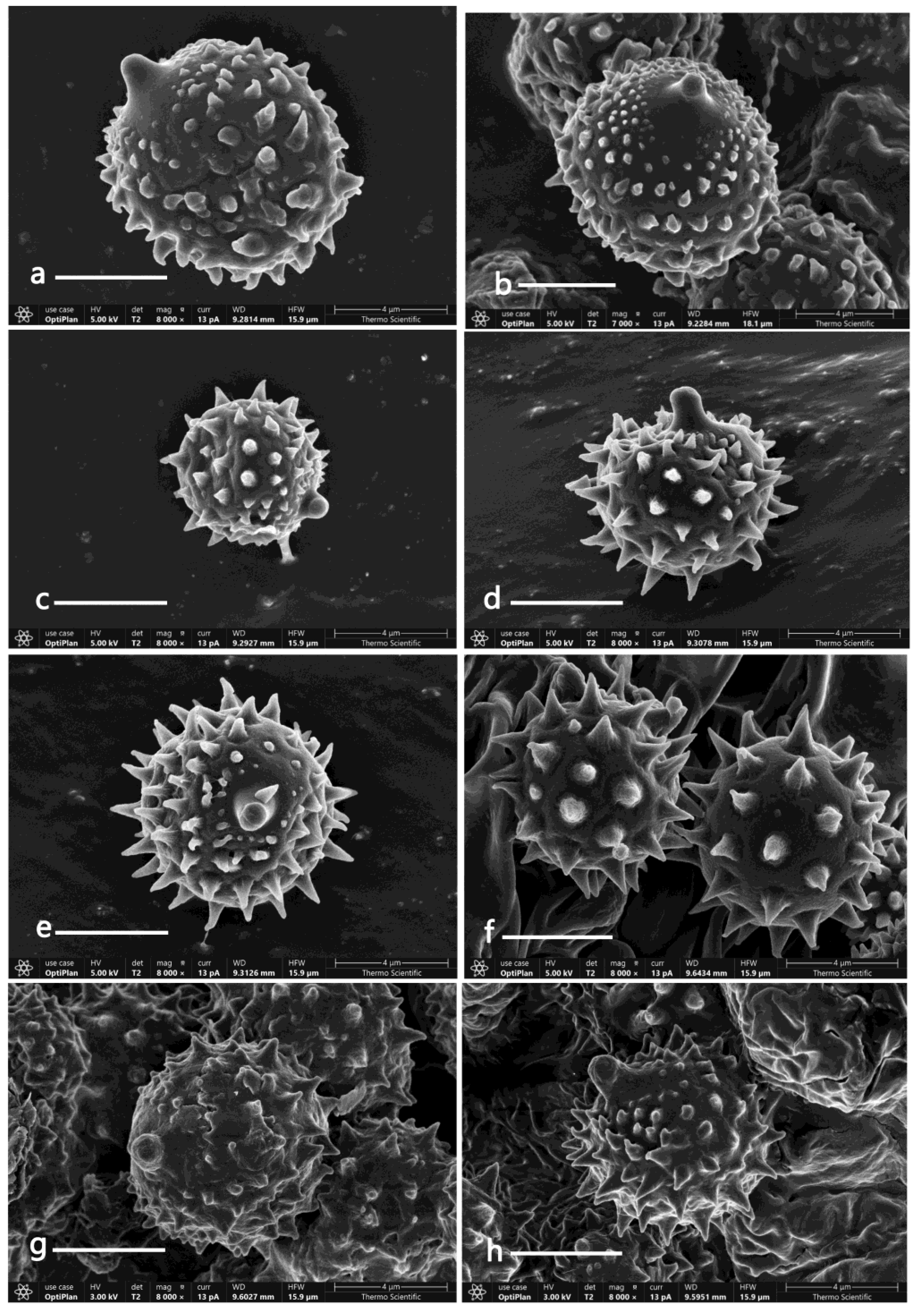 Jof 09 01179 g003 Jof 09 01179 g003