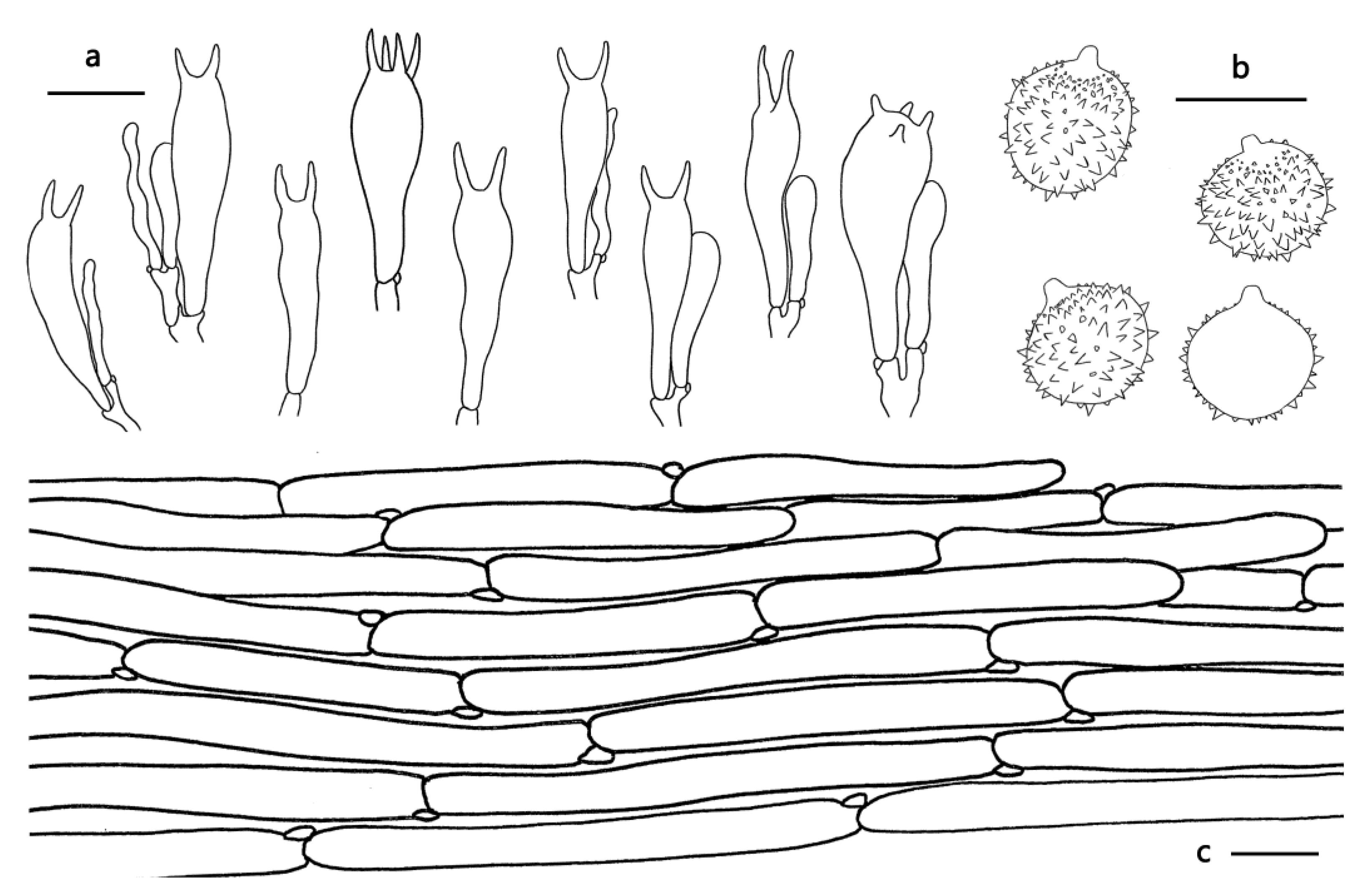 Jof 09 01179 g004 Jof 09 01179 g004