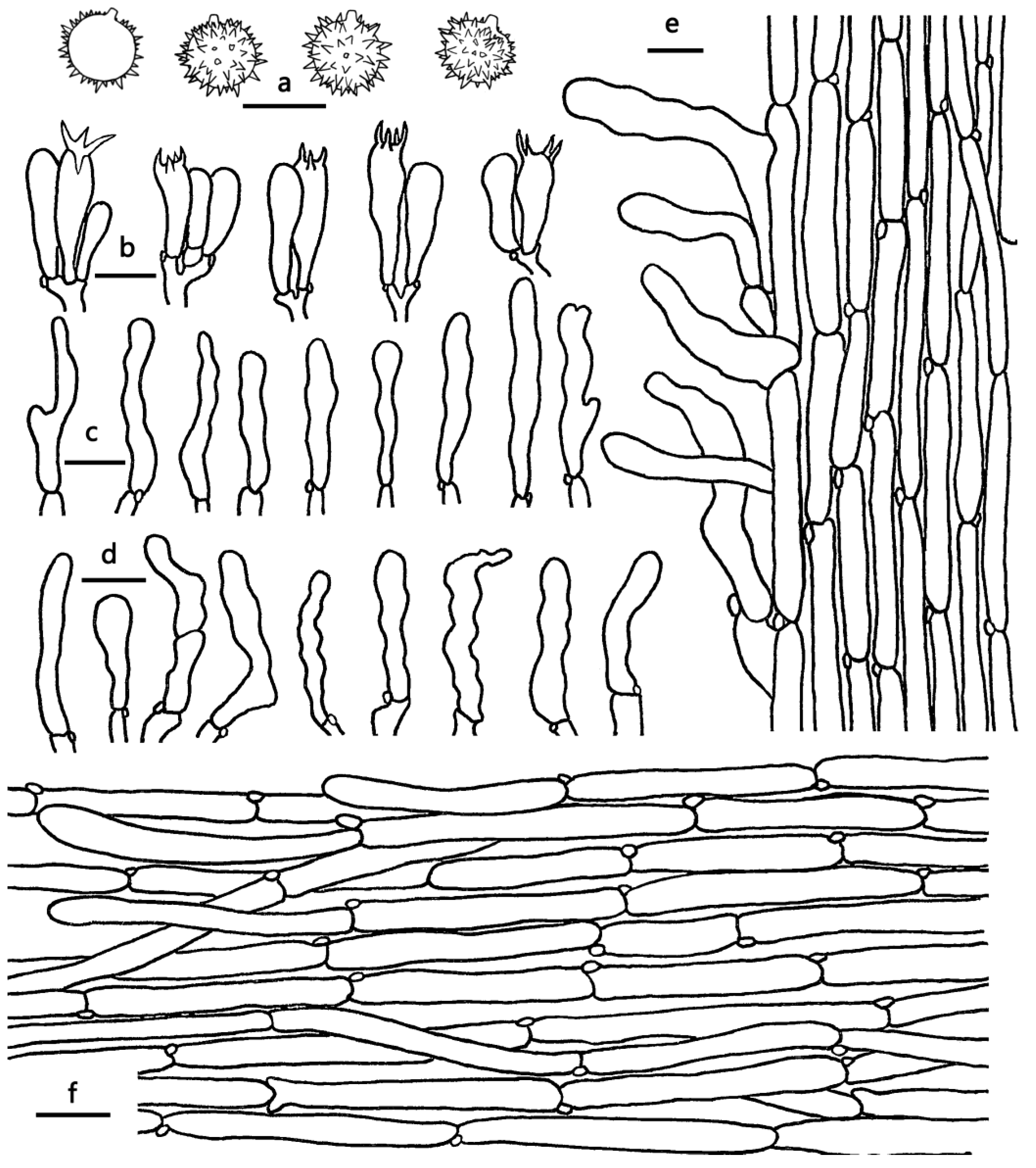 Jof 09 01179 g006 Jof 09 01179 g006