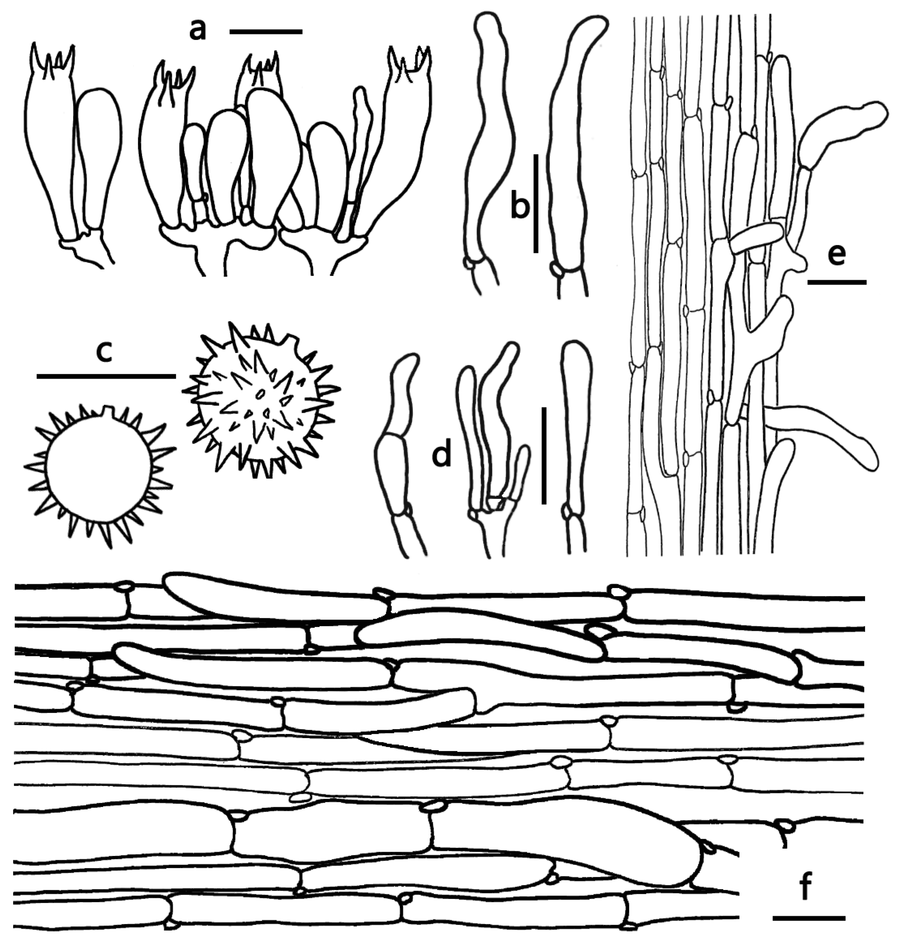 Jof 09 01179 g008 Jof 09 01179 g008
