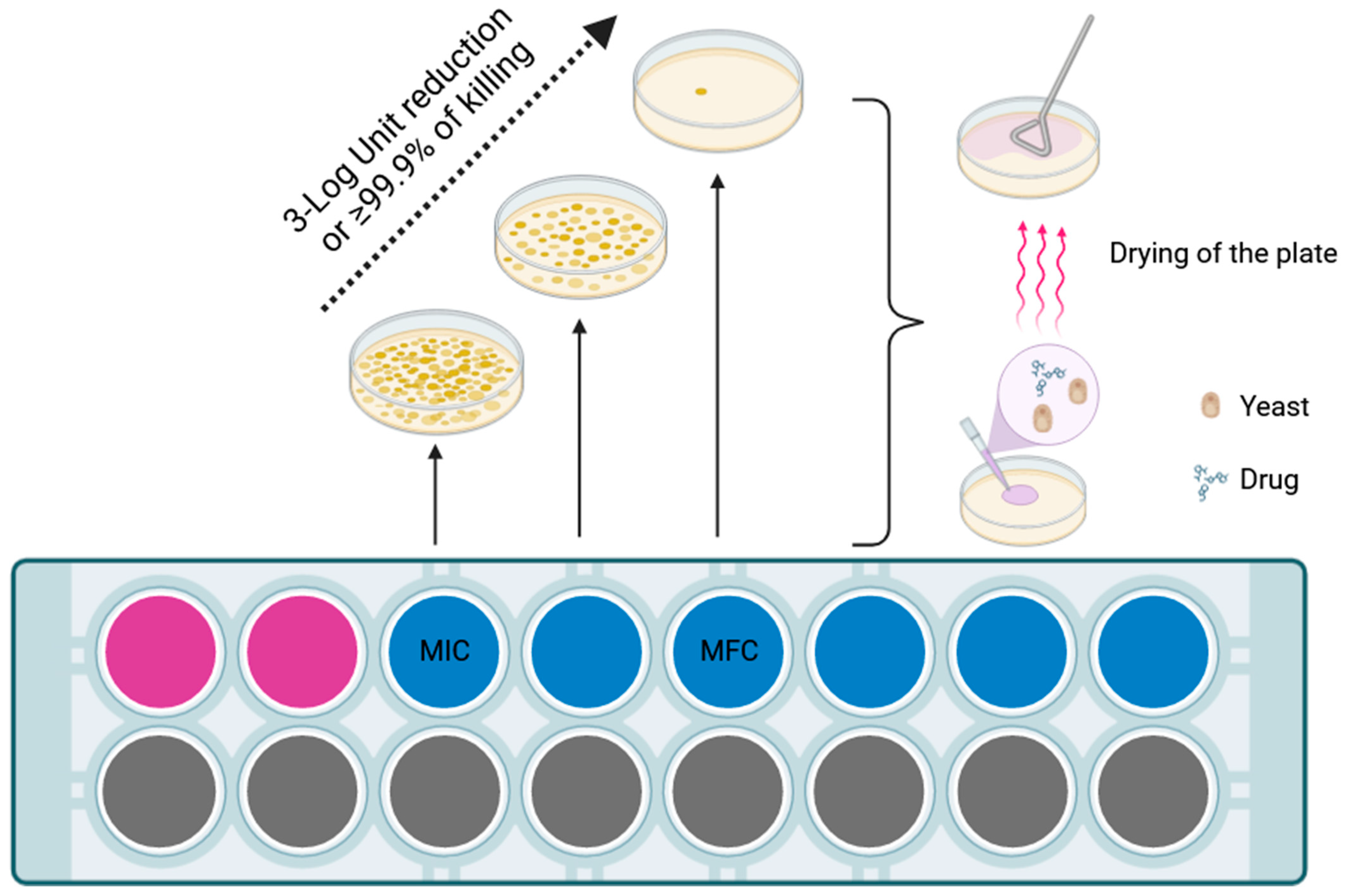 Jof 09 01188 g001 Jof 09 01188 g001