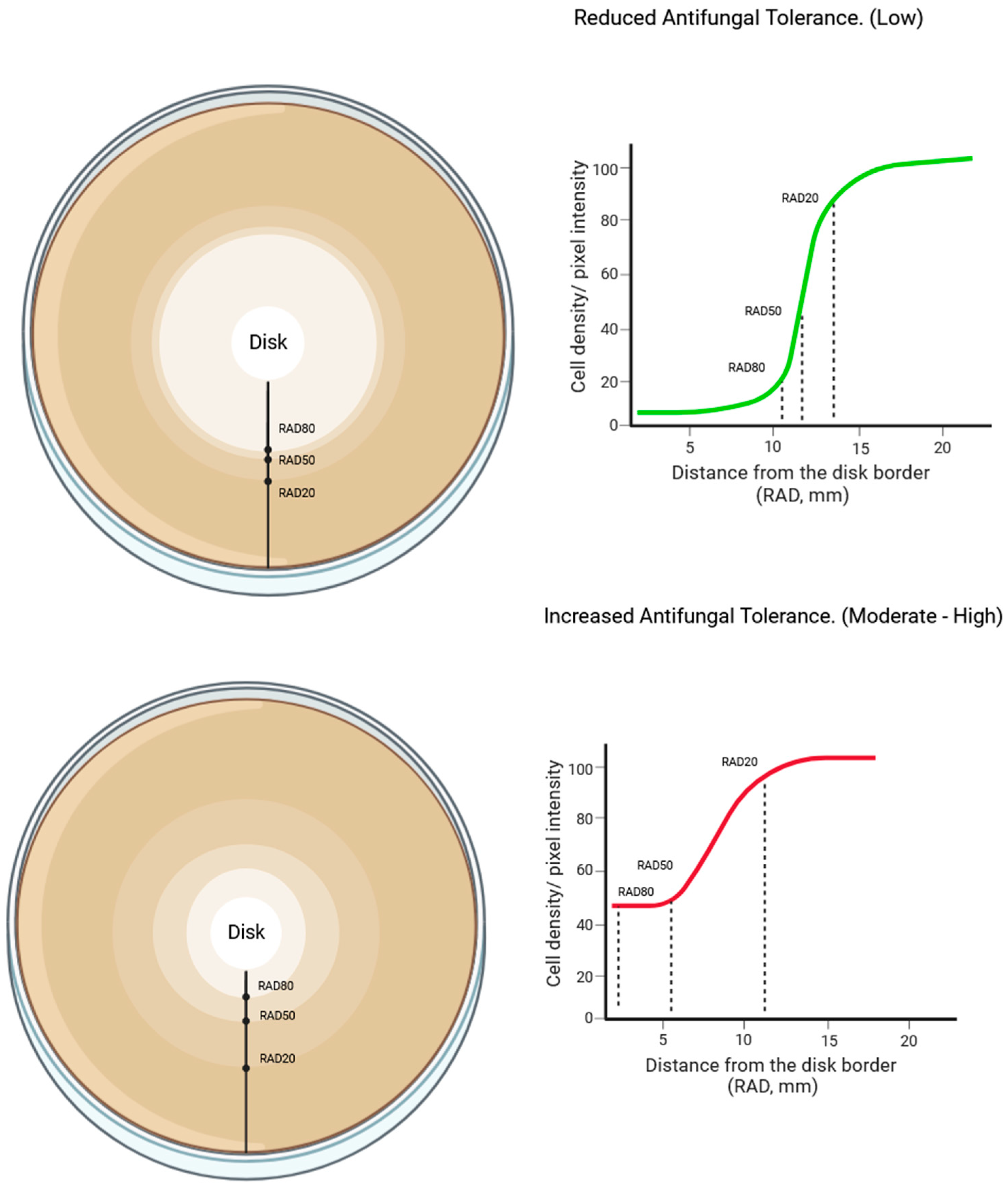 Jof 09 01188 g004 Jof 09 01188 g004