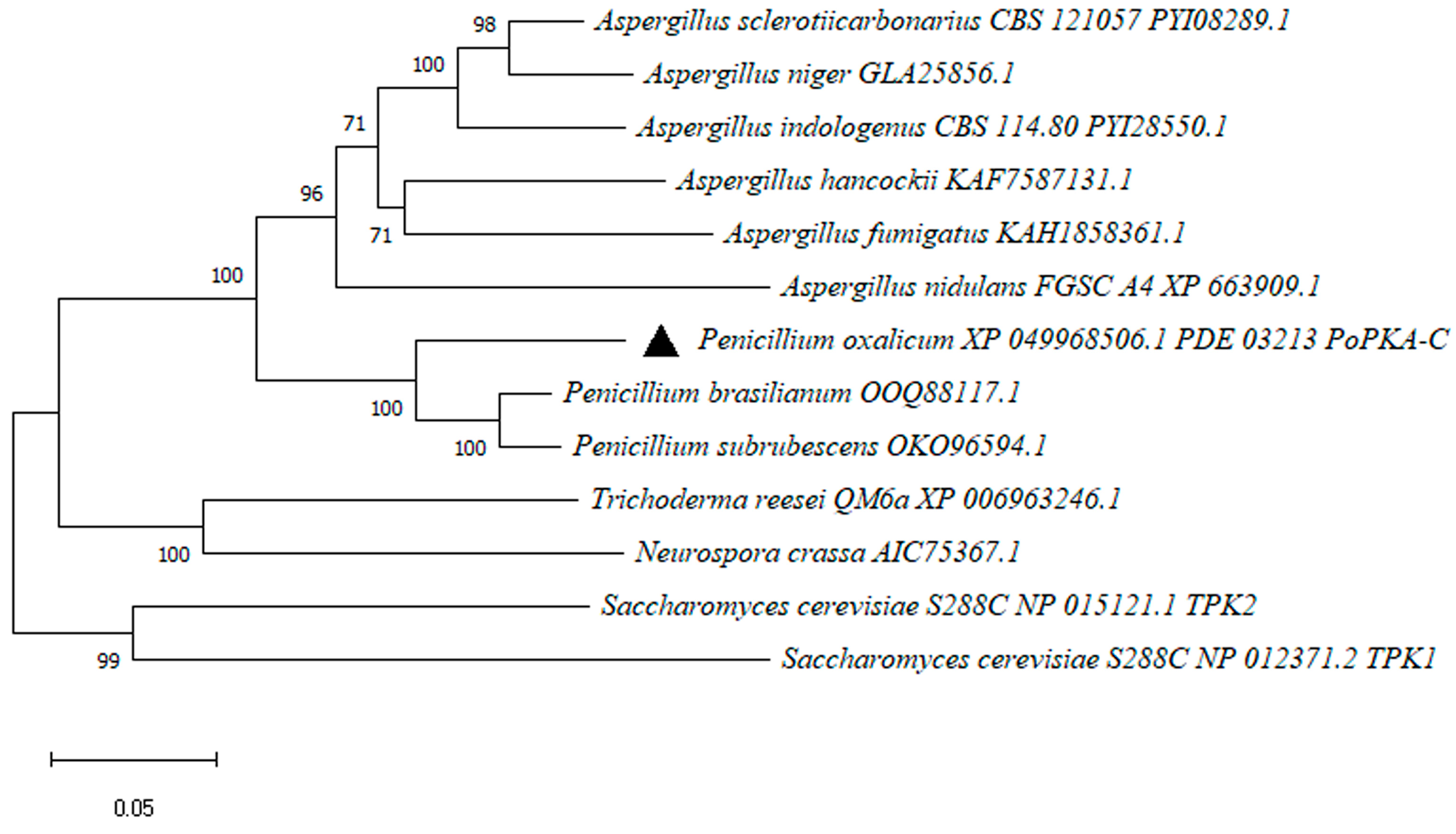 Jof 09 01203 g001 Jof 09 01203 g001