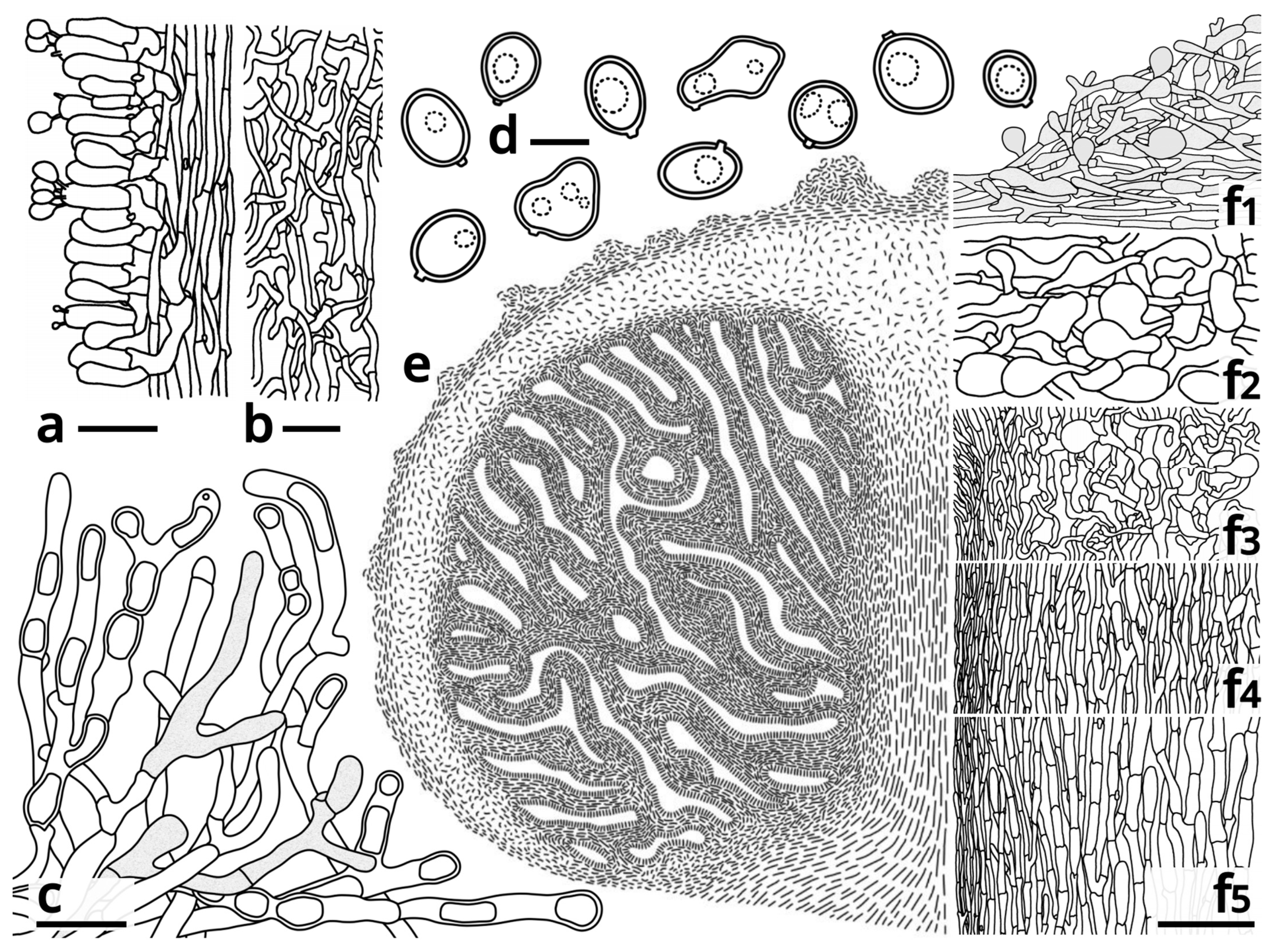 Jof 09 01204 g002 Jof 09 01204 g002