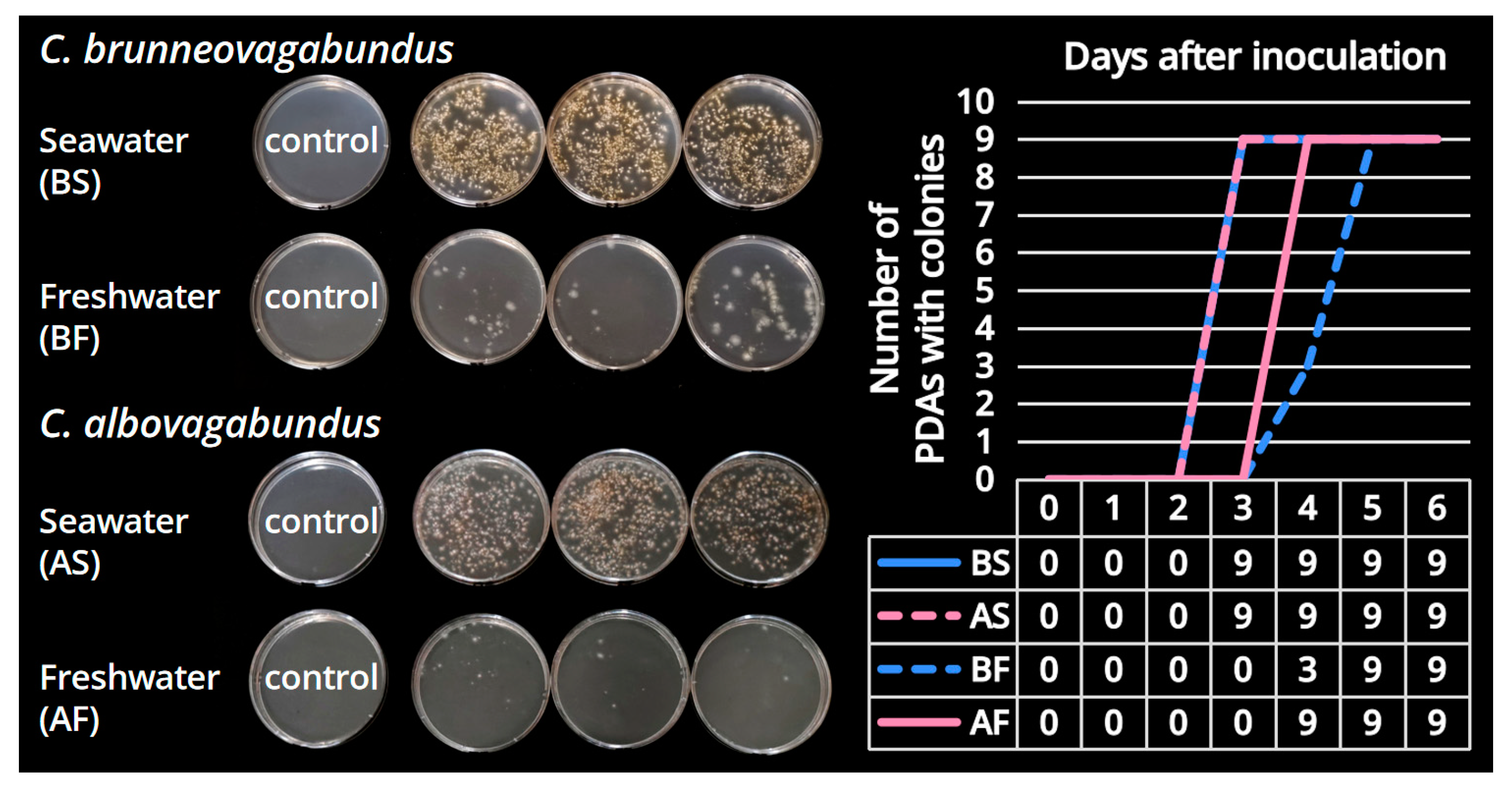 Jof 09 01204 g005 Jof 09 01204 g005