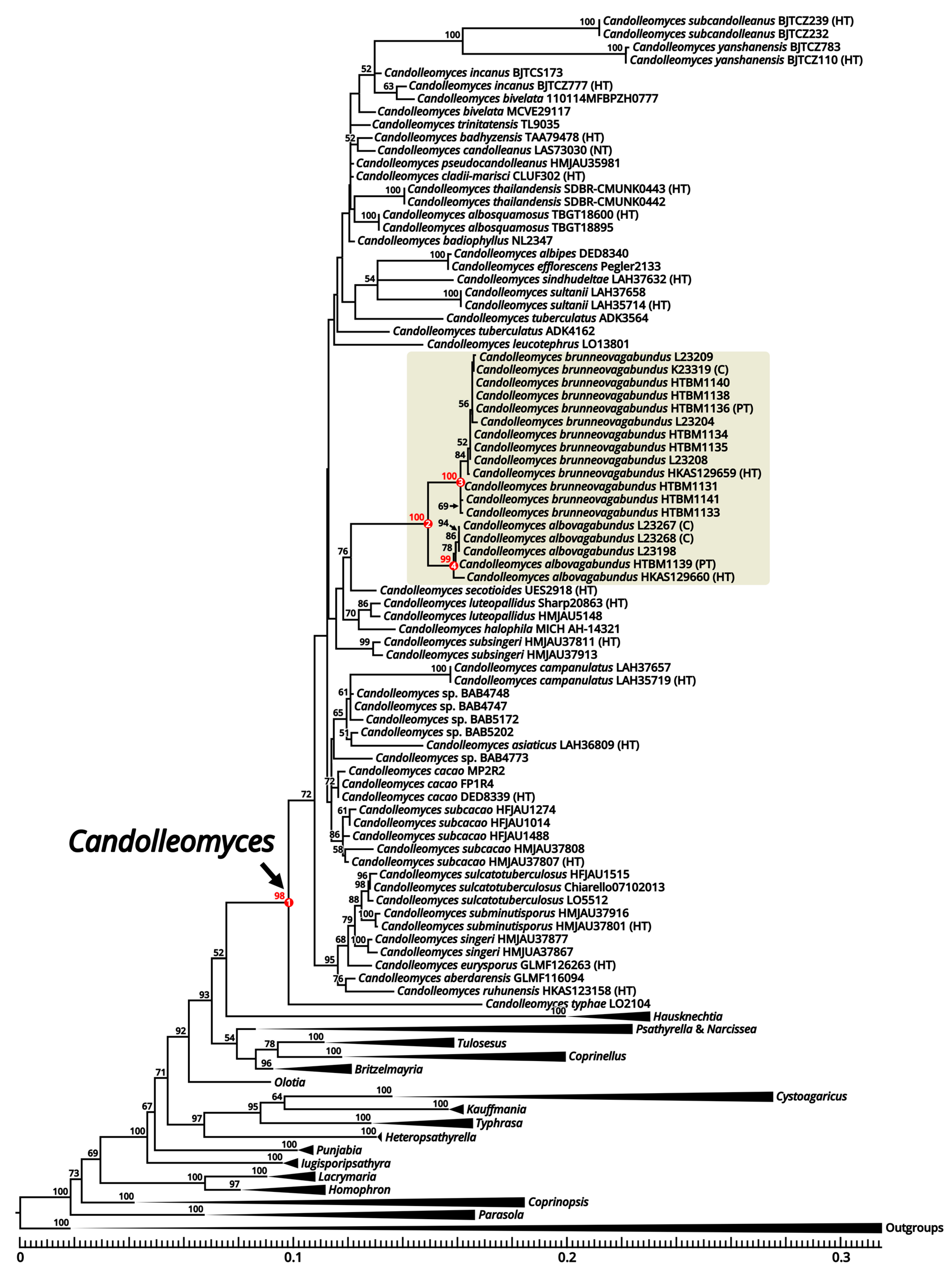Jof 09 01204 g006 Jof 09 01204 g006