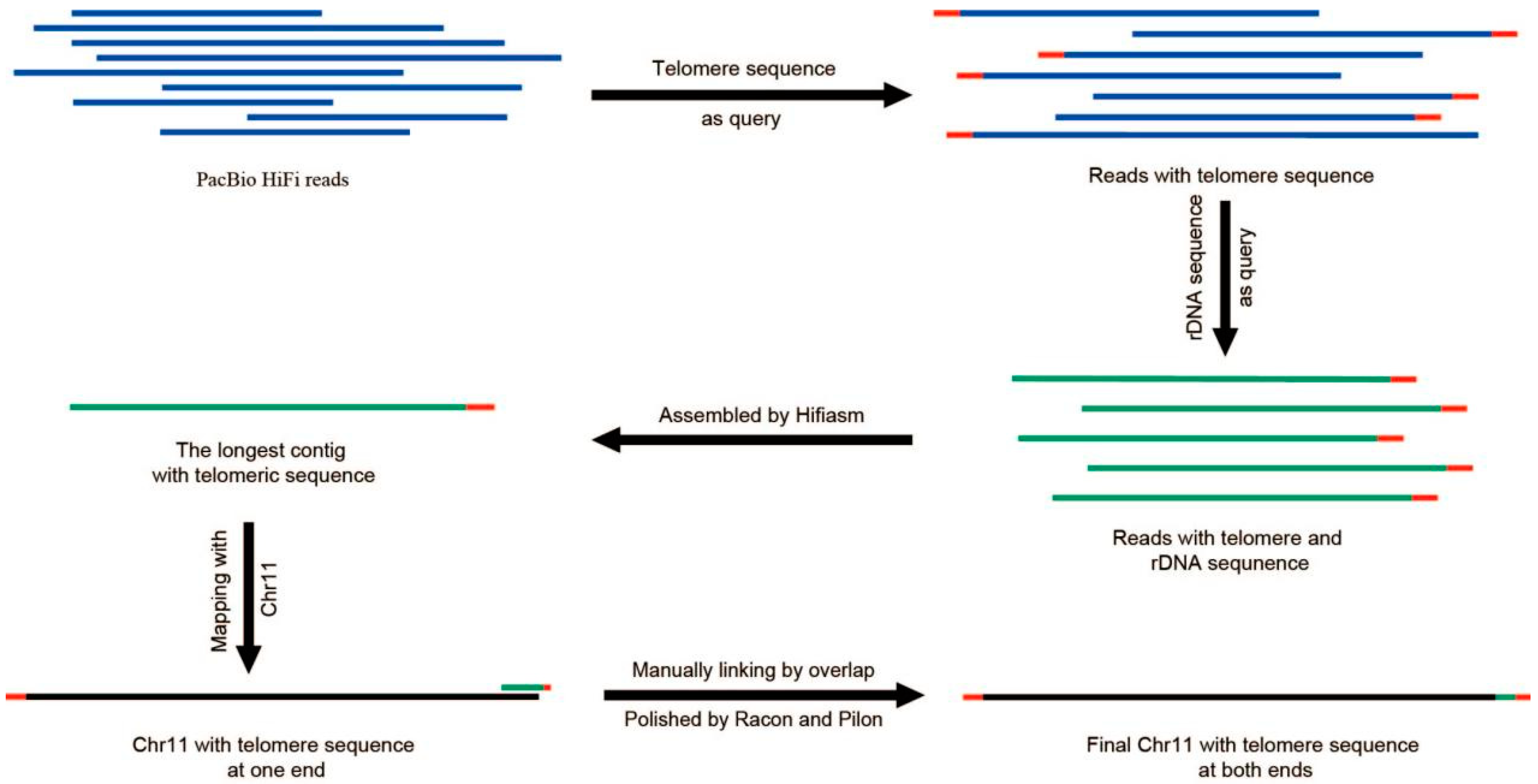 Jof 10 00015 g002 Jof 10 00015 g002
