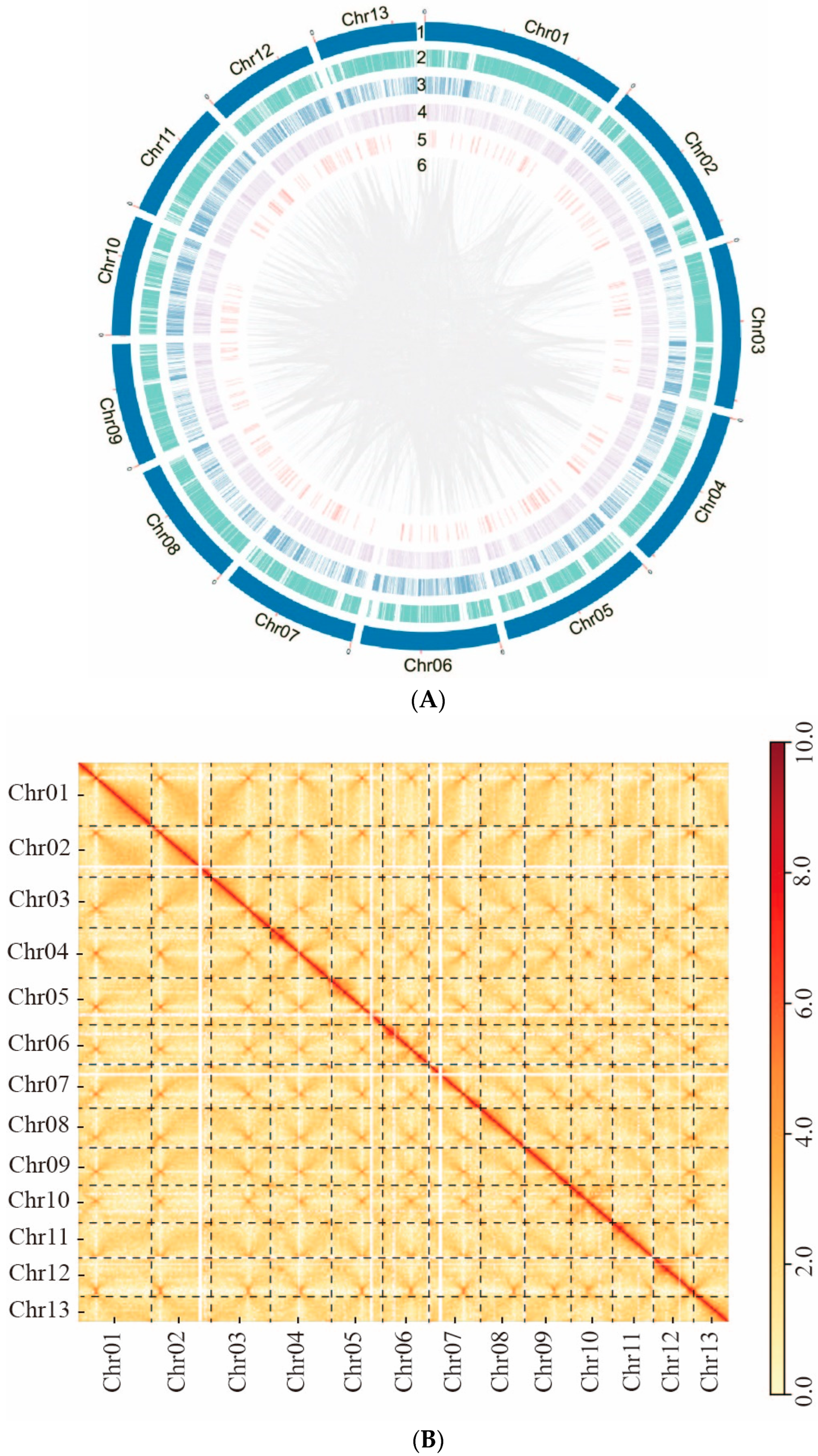 Jof 10 00015 g003a Jof 10 00015 g003a