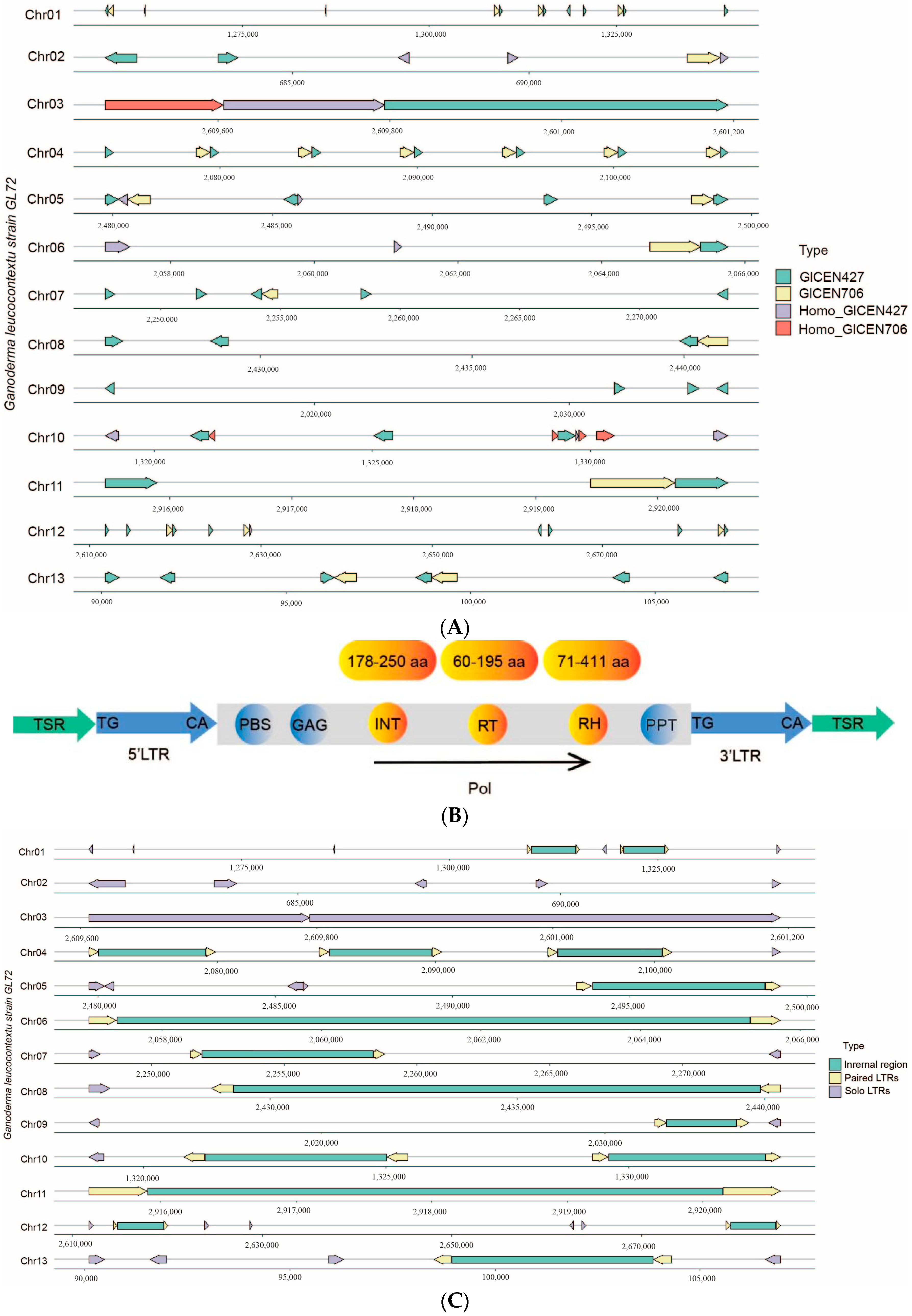 Jof 10 00015 g006 Jof 10 00015 g006