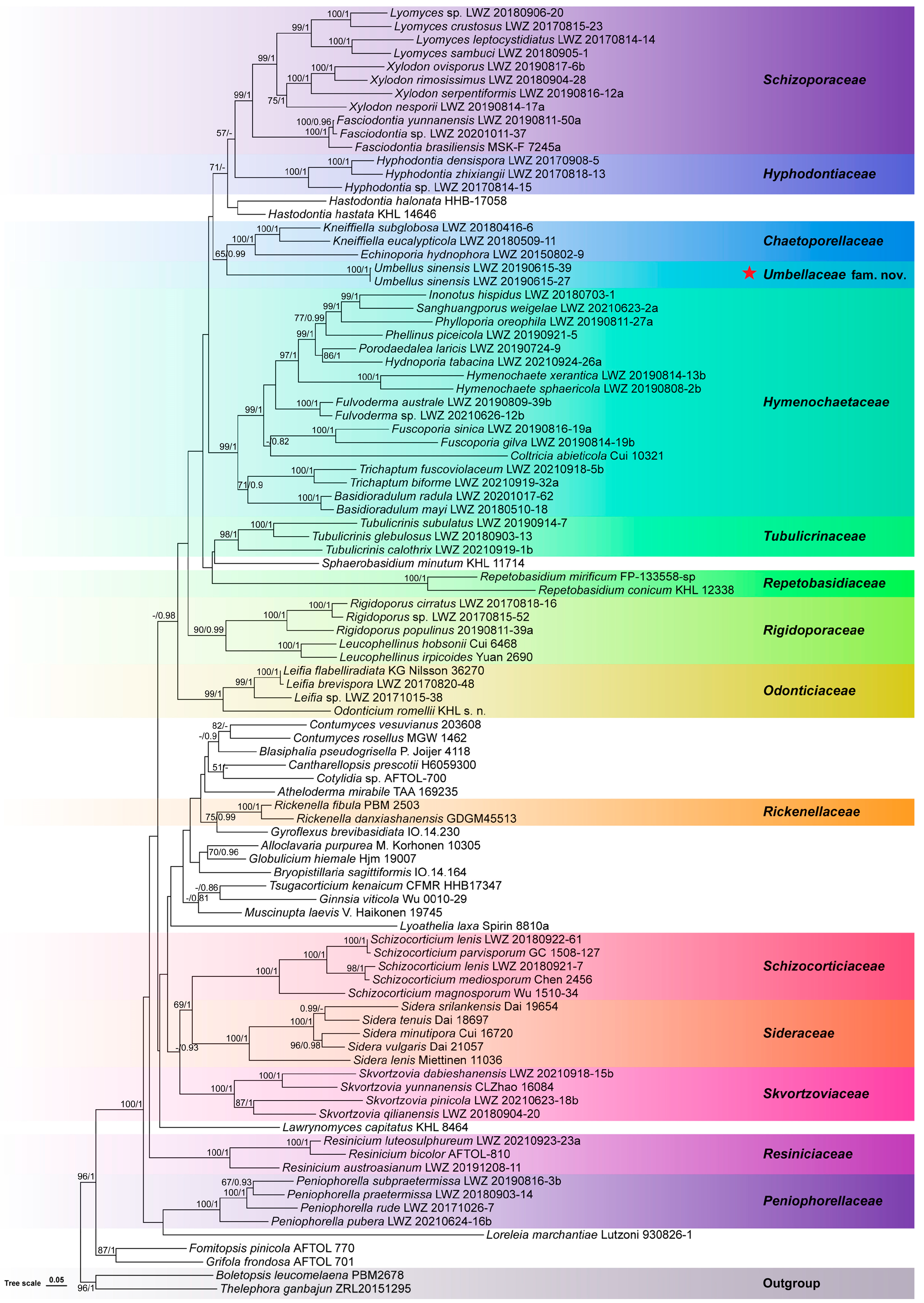 Jof 10 00022 g001 Jof 10 00022 g001