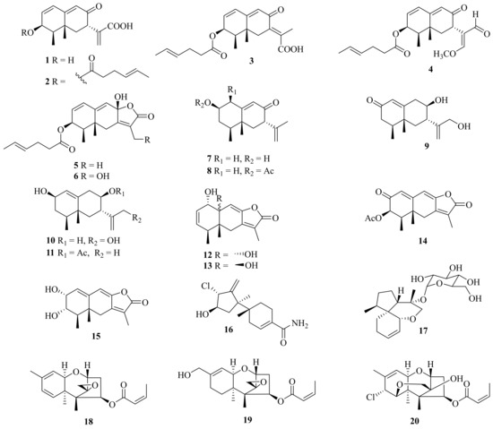 Recent Advances in Chemistry and Bioactivities of Secondary
