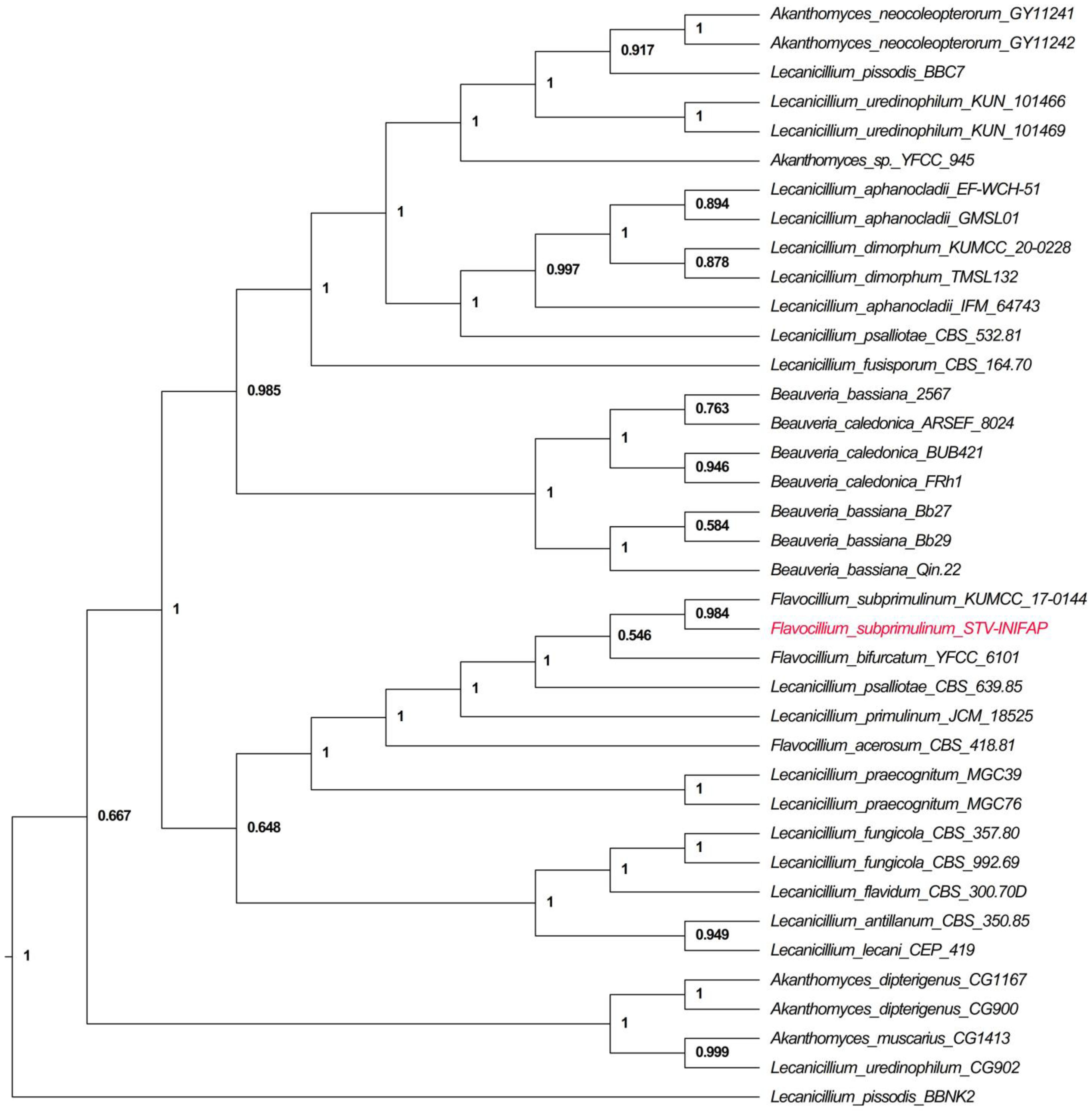 Jof 10 00056 g004 Jof 10 00056 g004