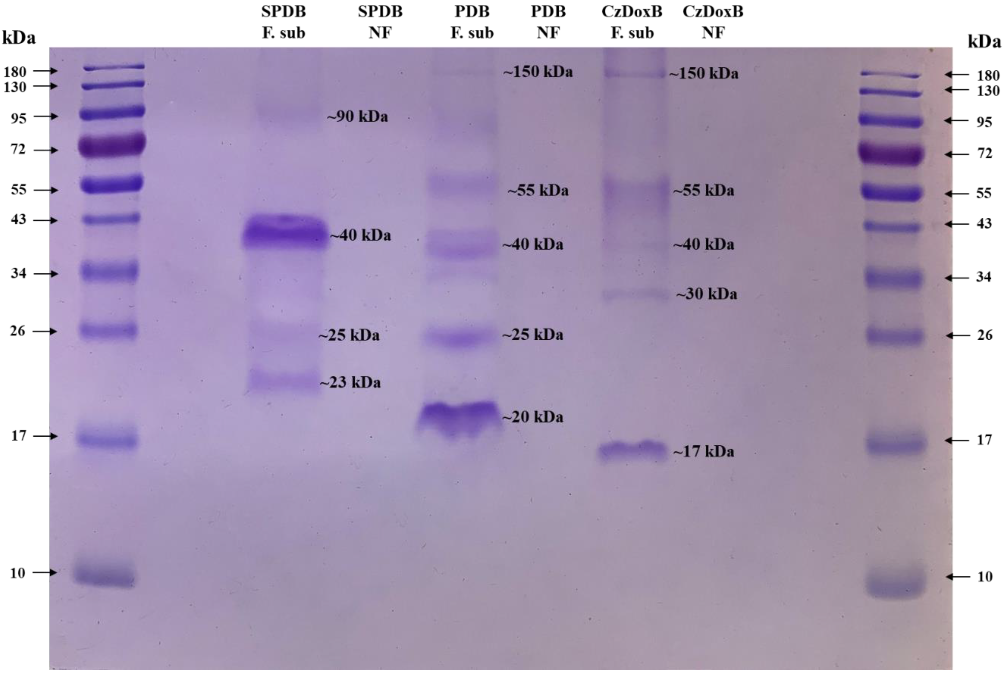 Jof 10 00056 g007 Jof 10 00056 g007