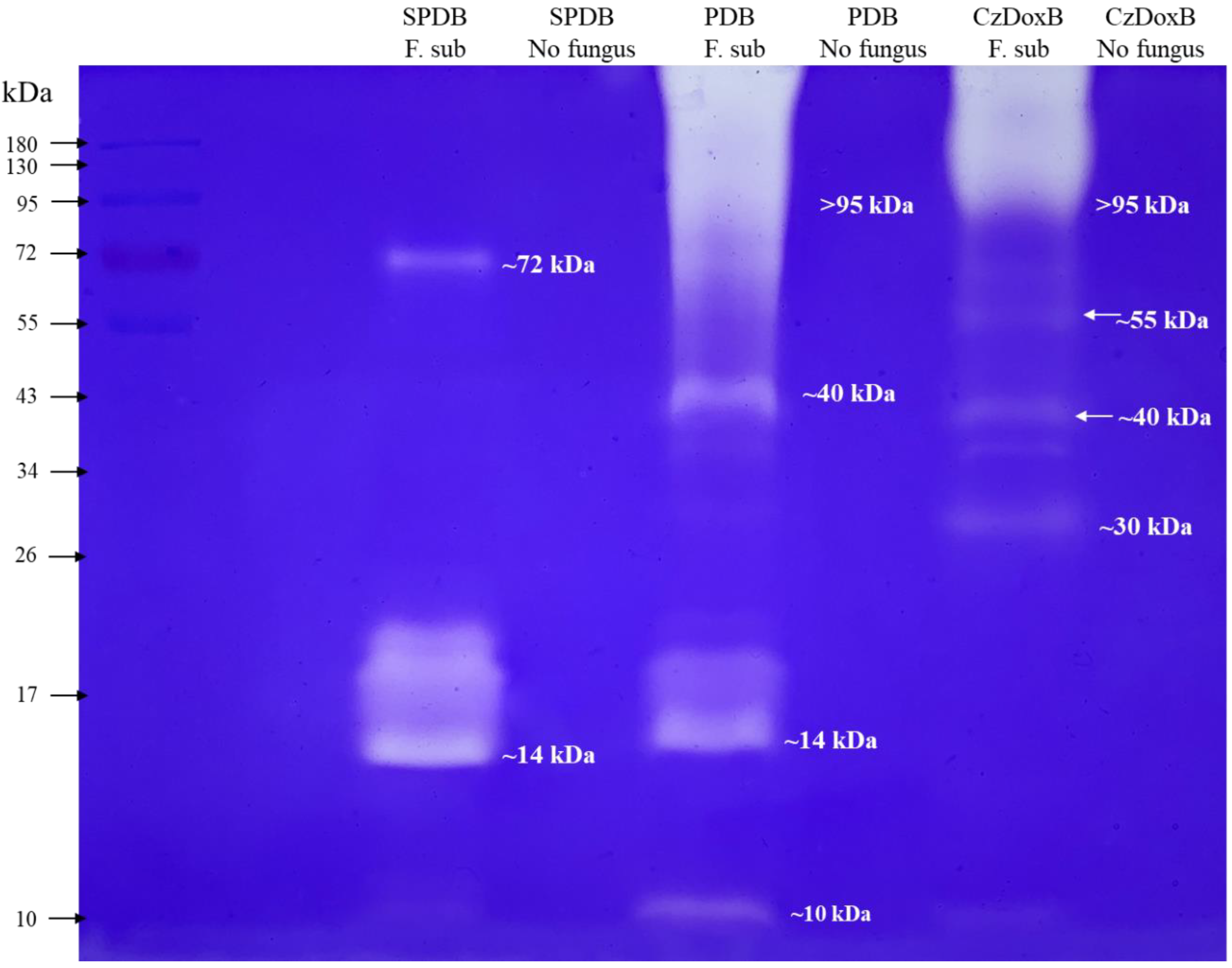 Jof 10 00056 g008 Jof 10 00056 g008
