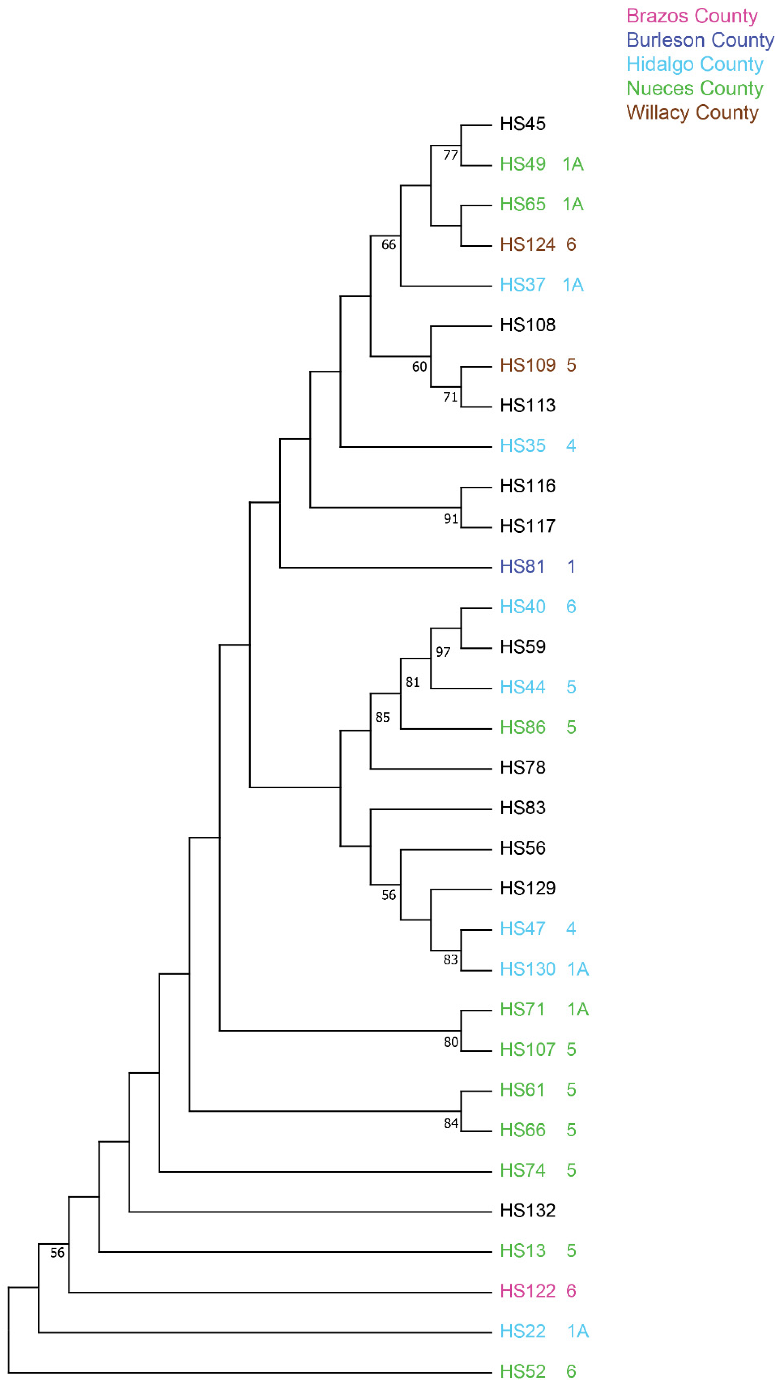 Jof 10 00062 g003 Jof 10 00062 g003