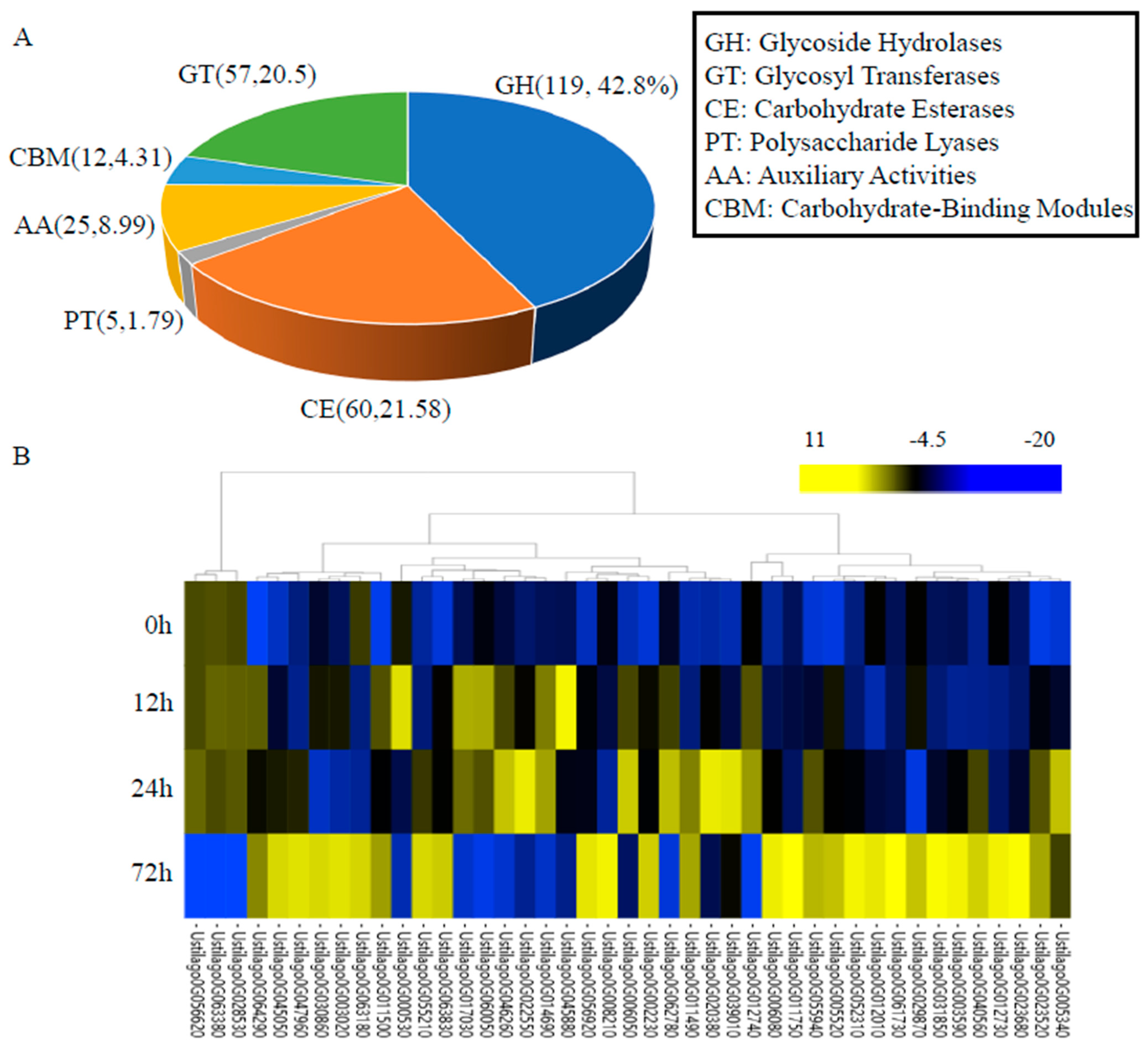 Jof 10 00082 g004 Jof 10 00082 g004